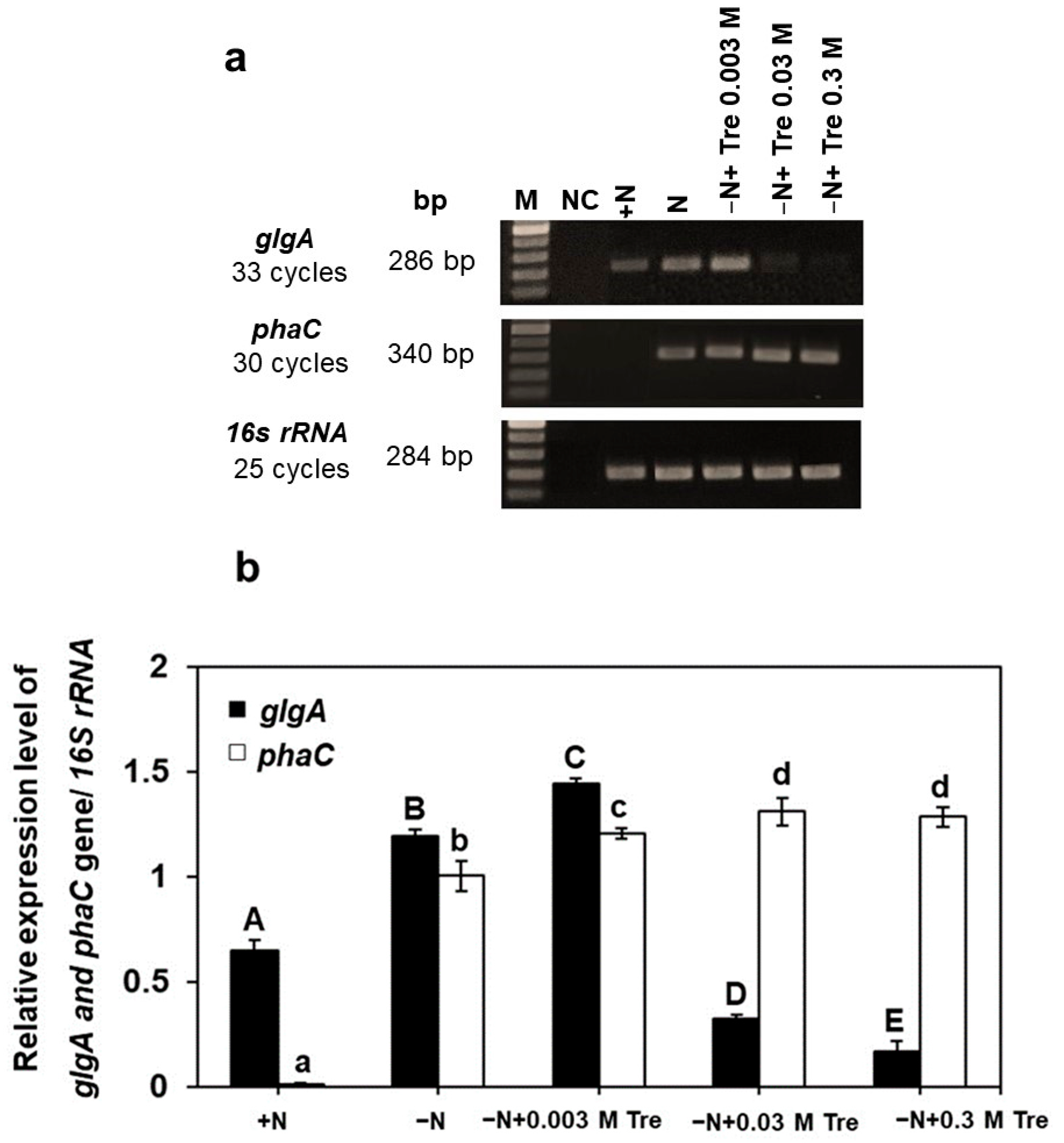 Biology 13 00127 g003