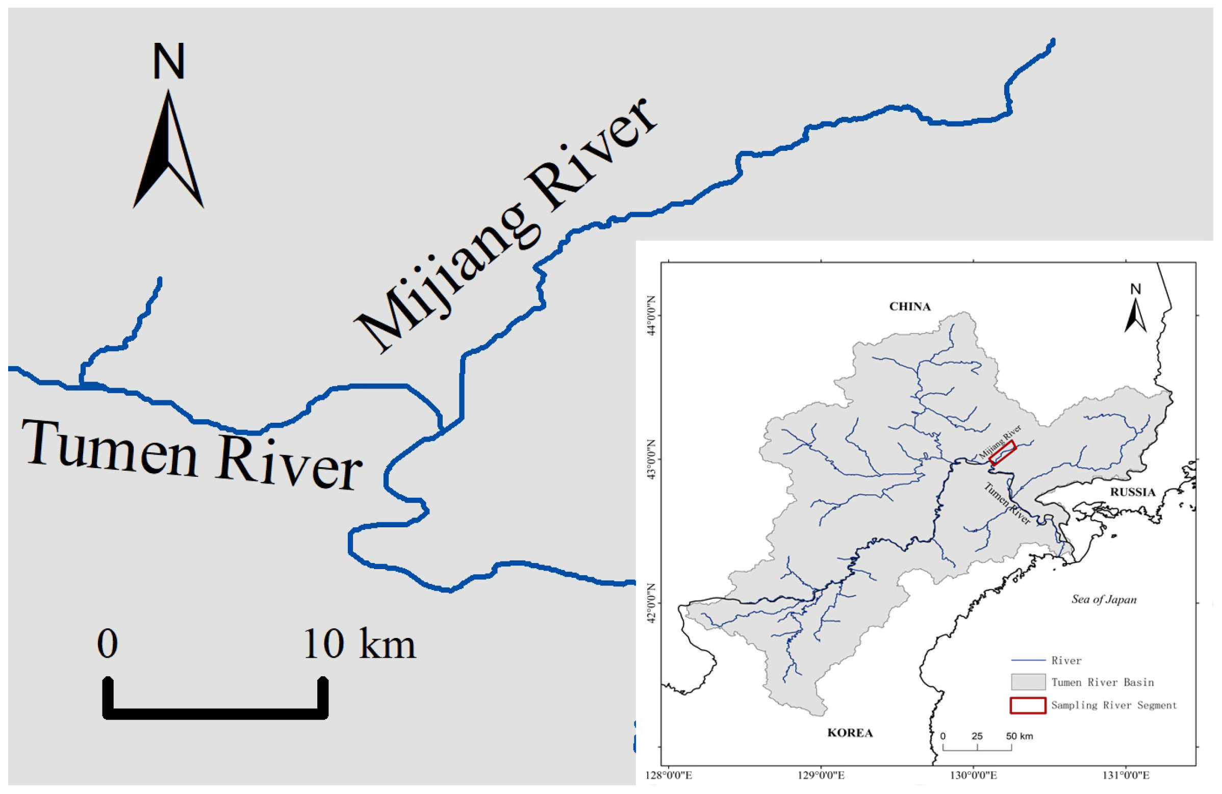 Biology 13 00129 g001