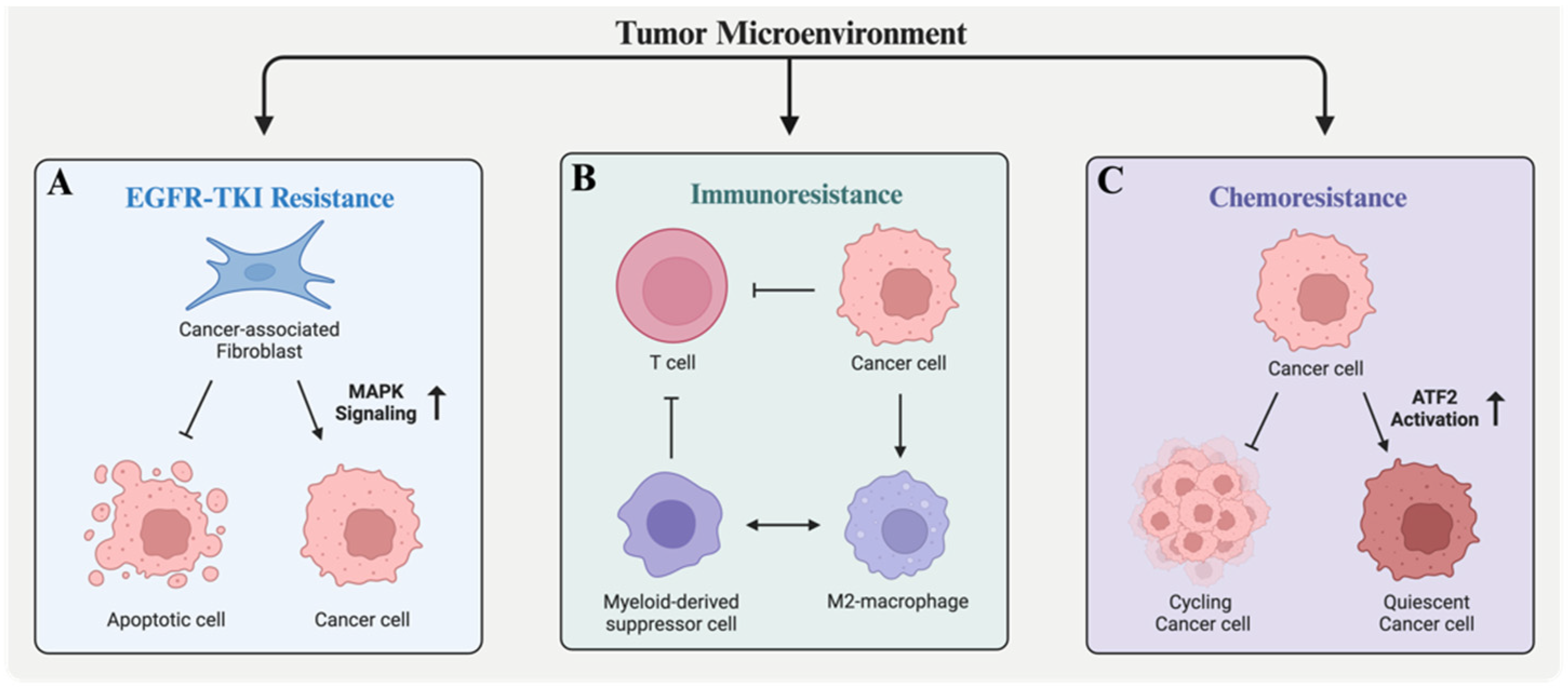 Biology 13 00130 g003