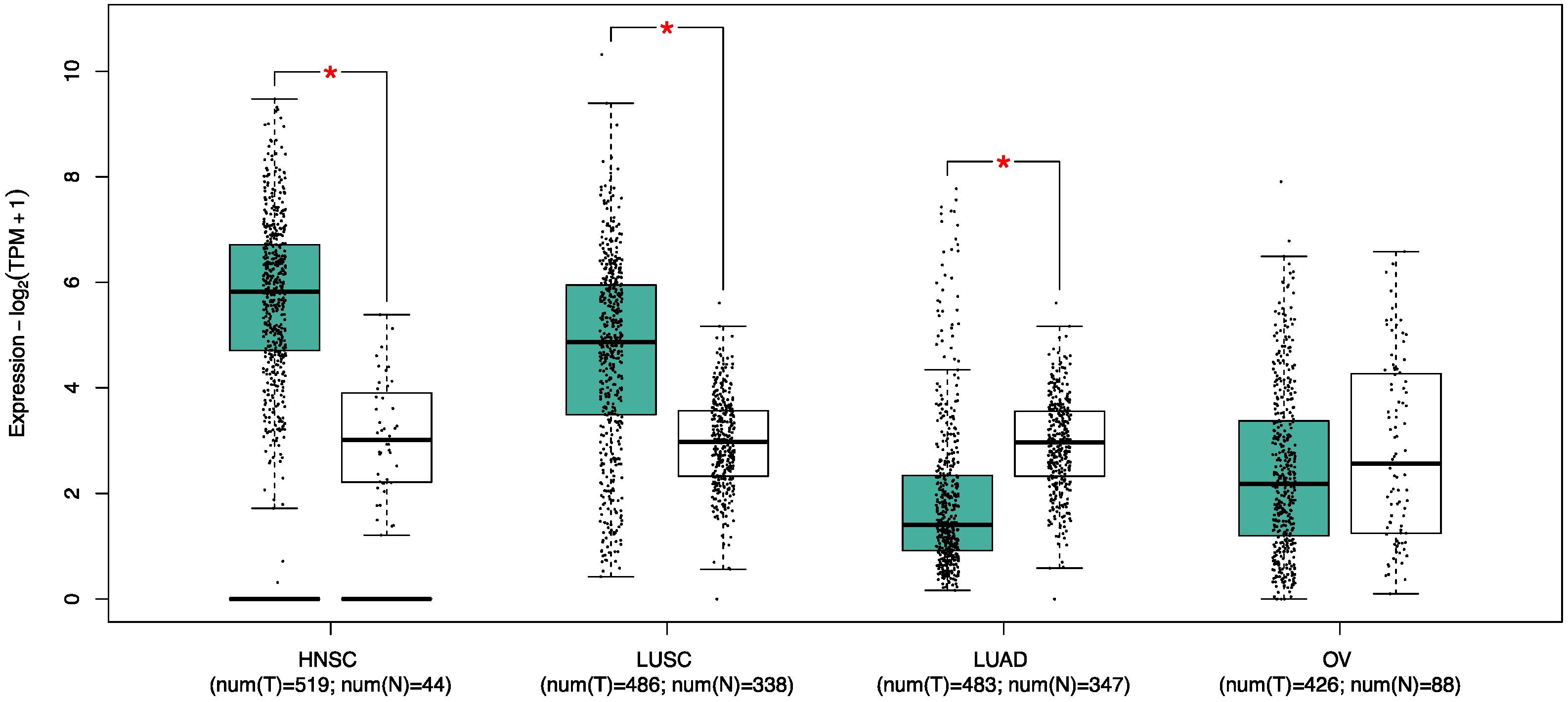 Biology 13 00130 g004