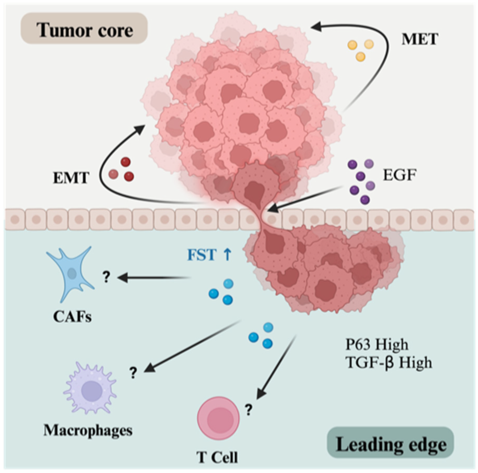 Biology 13 00130 g005