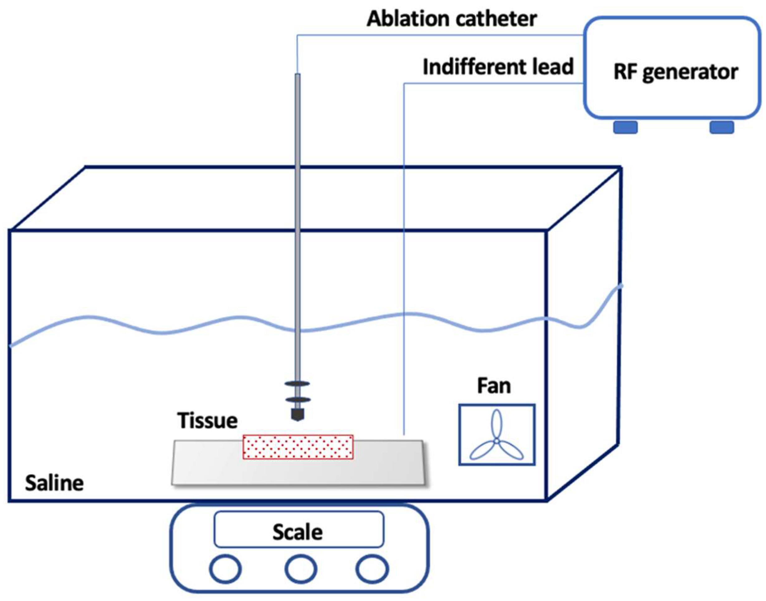 Biology 13 00132 g001