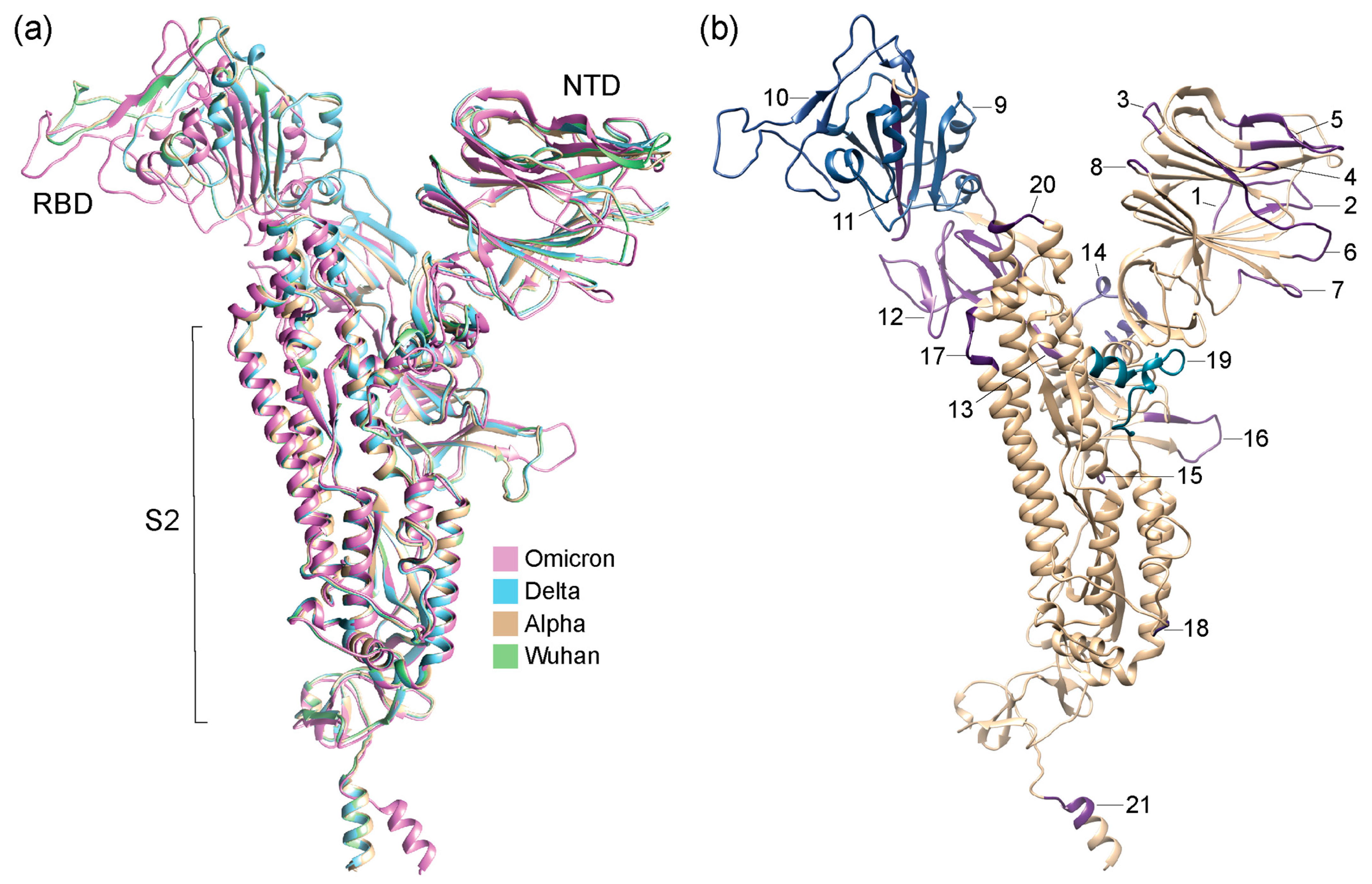 Biology 13 00134 g003