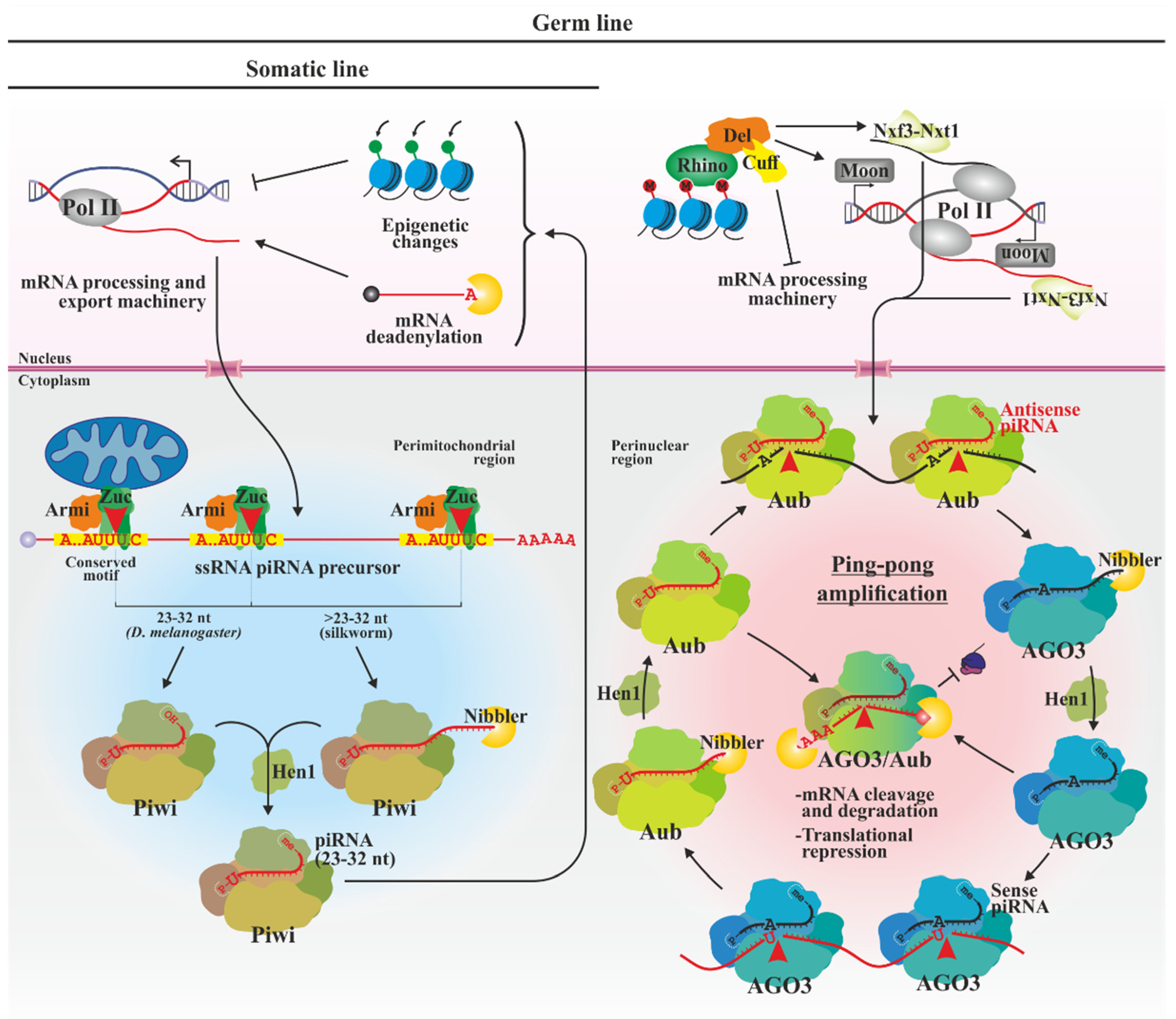 Biology 13 00137 g003