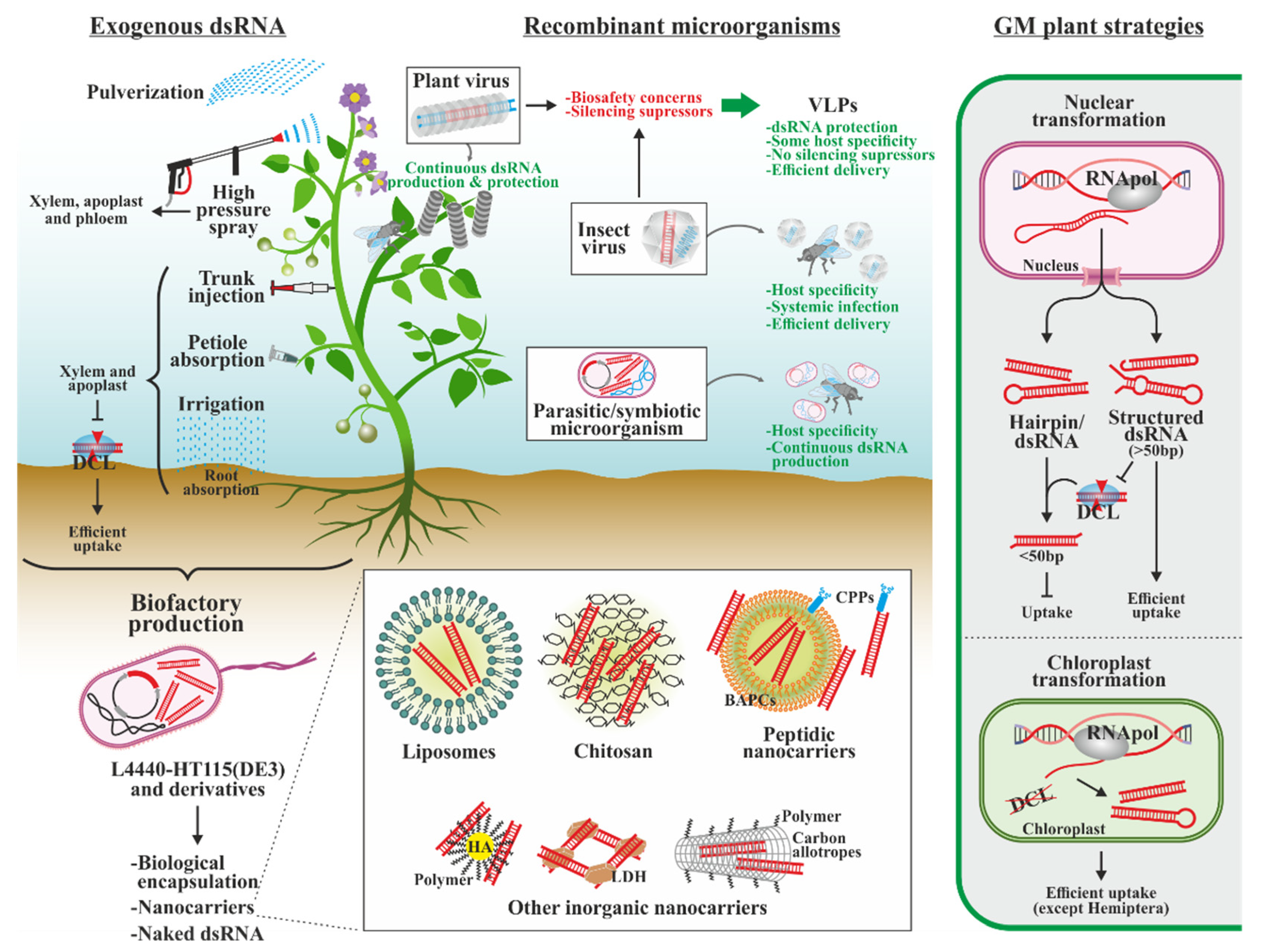 Biology 13 00137 g005