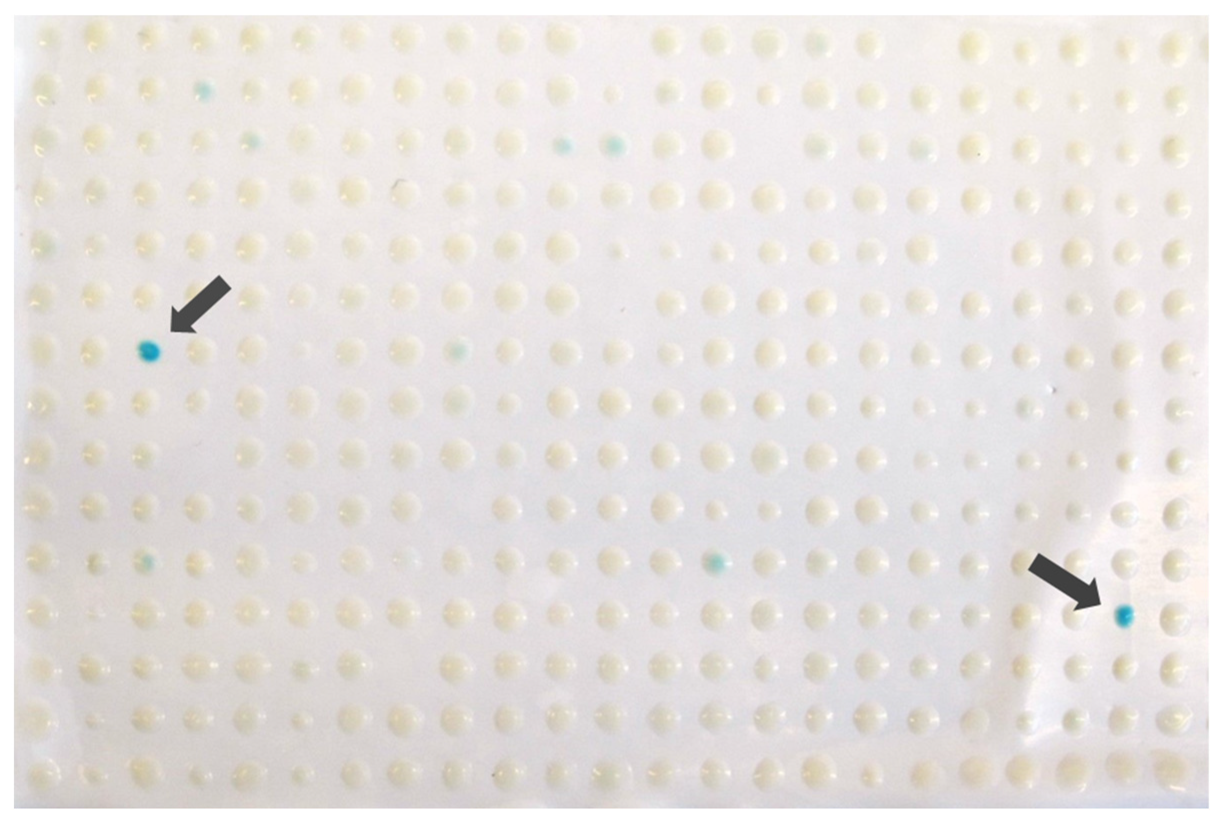 Biology 13 00138 g001