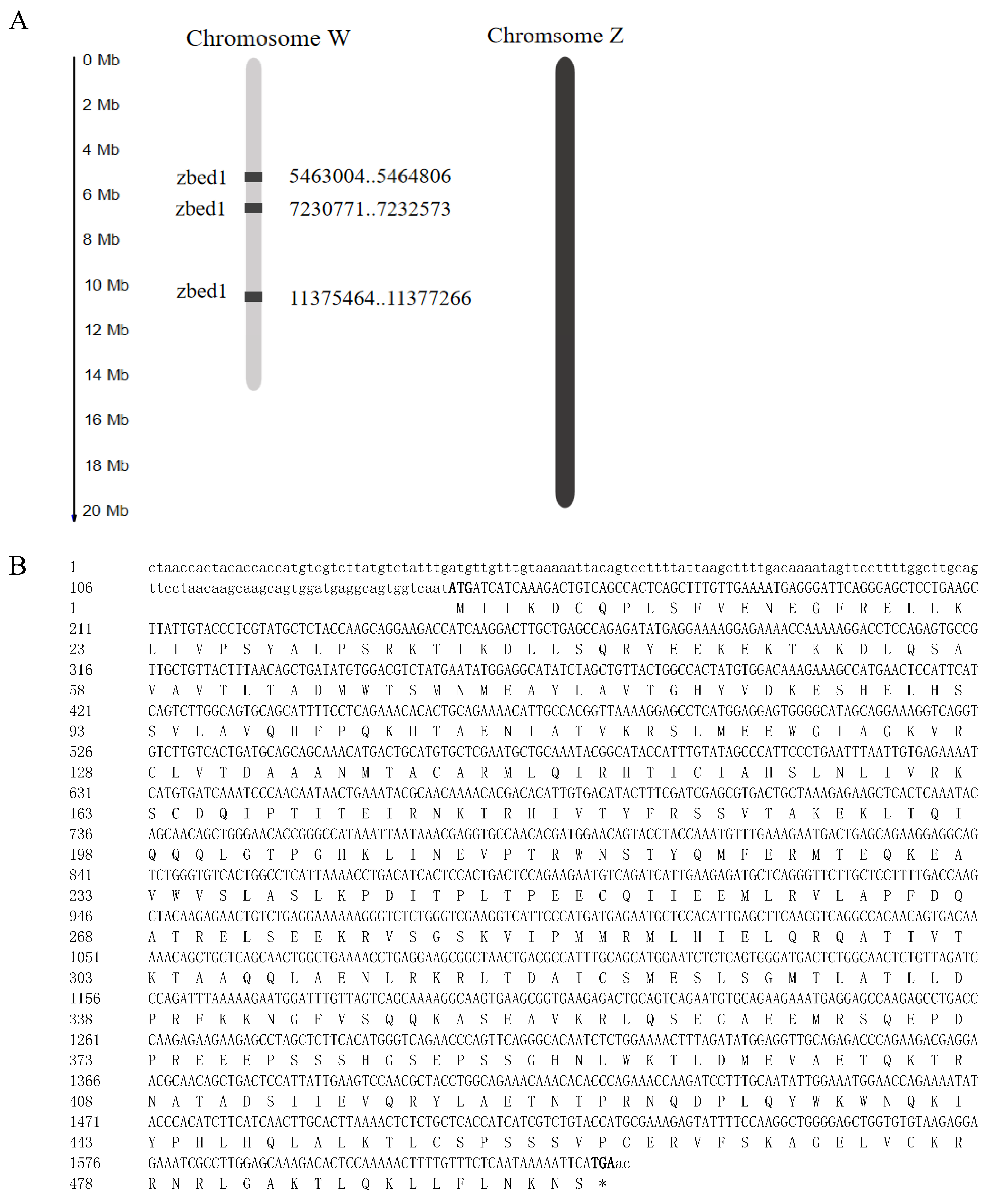 Biology 13 00141 g001 Biology 13 00141 g001