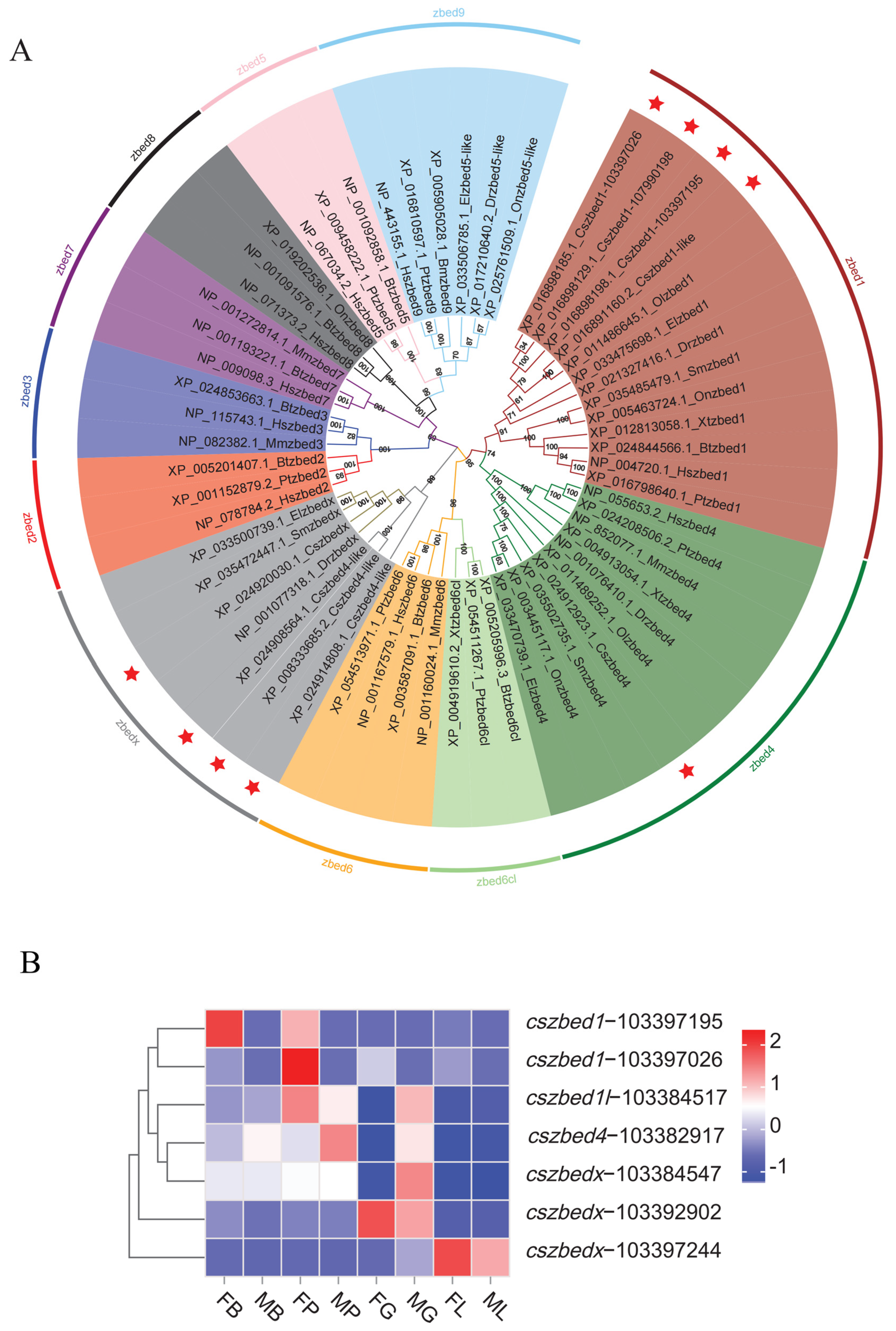 Biology 13 00141 g003 Biology 13 00141 g003