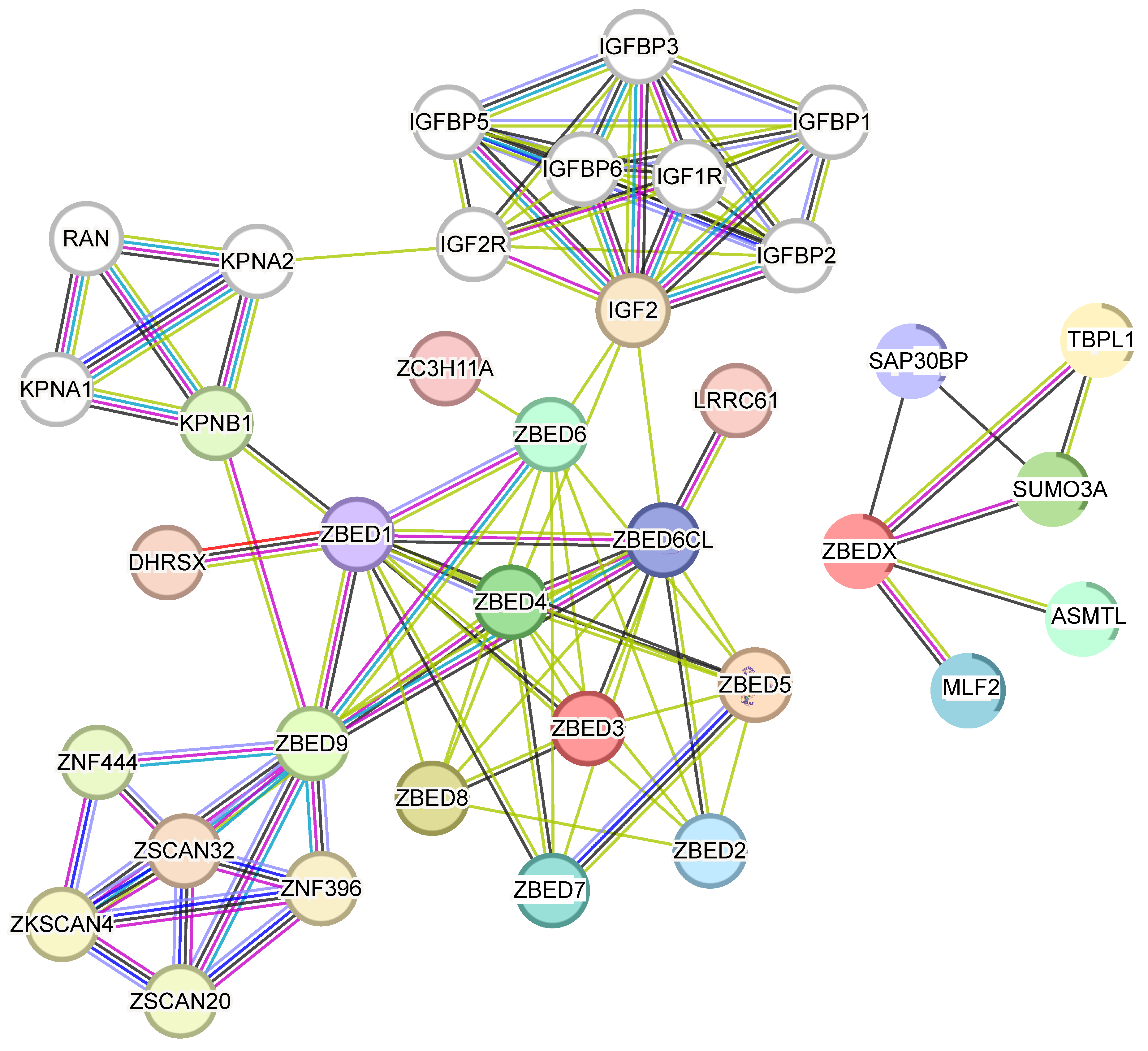 Biology 13 00141 g004 Biology 13 00141 g004