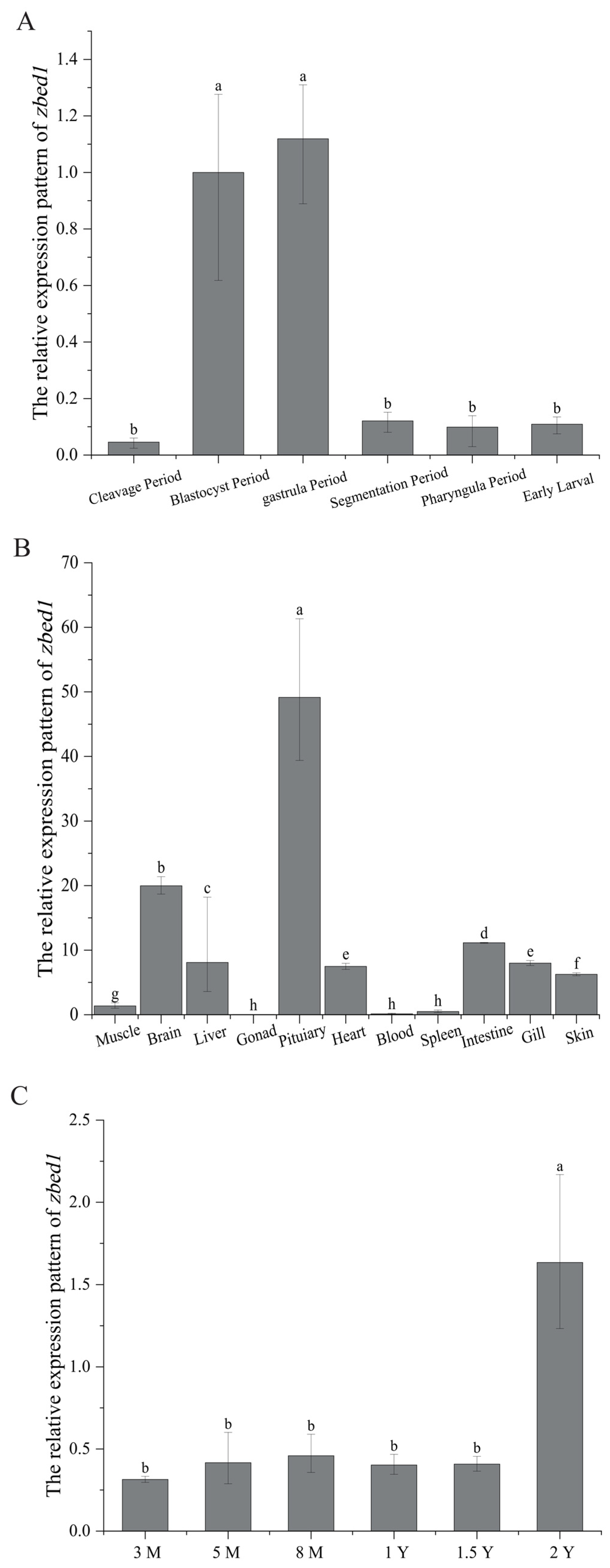 Biology 13 00141 g005 Biology 13 00141 g005