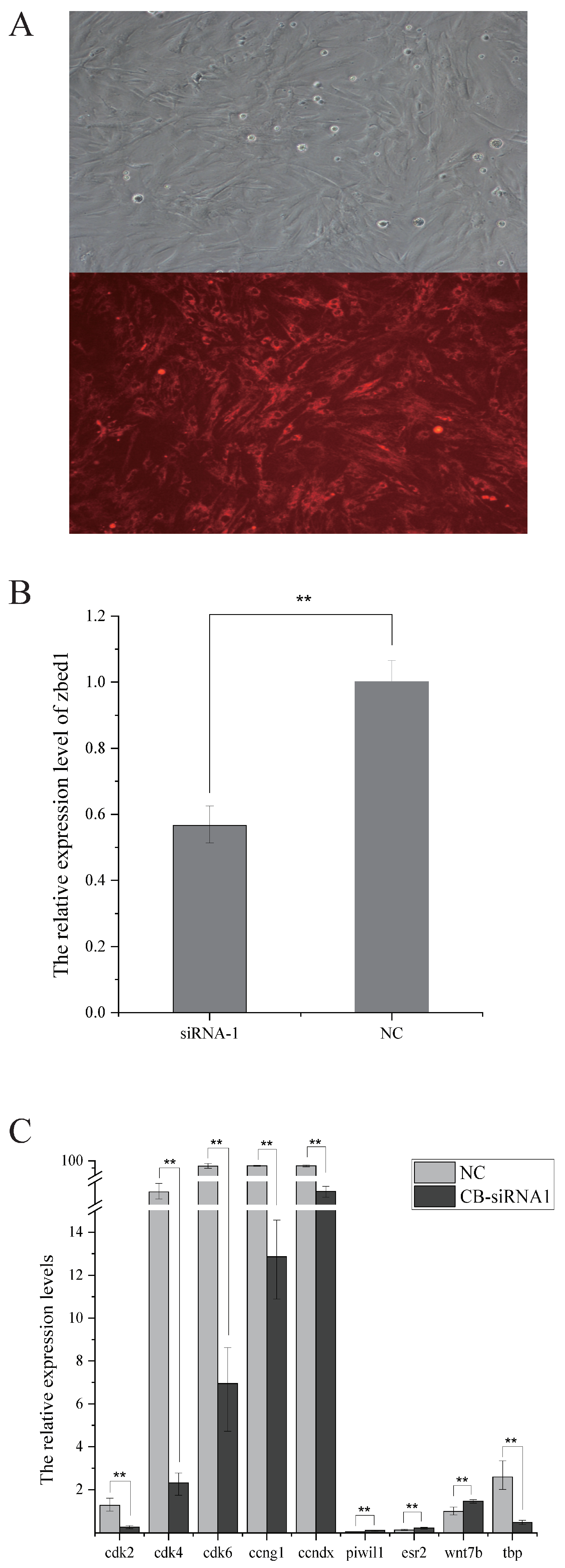 Biology 13 00141 g006 Biology 13 00141 g006