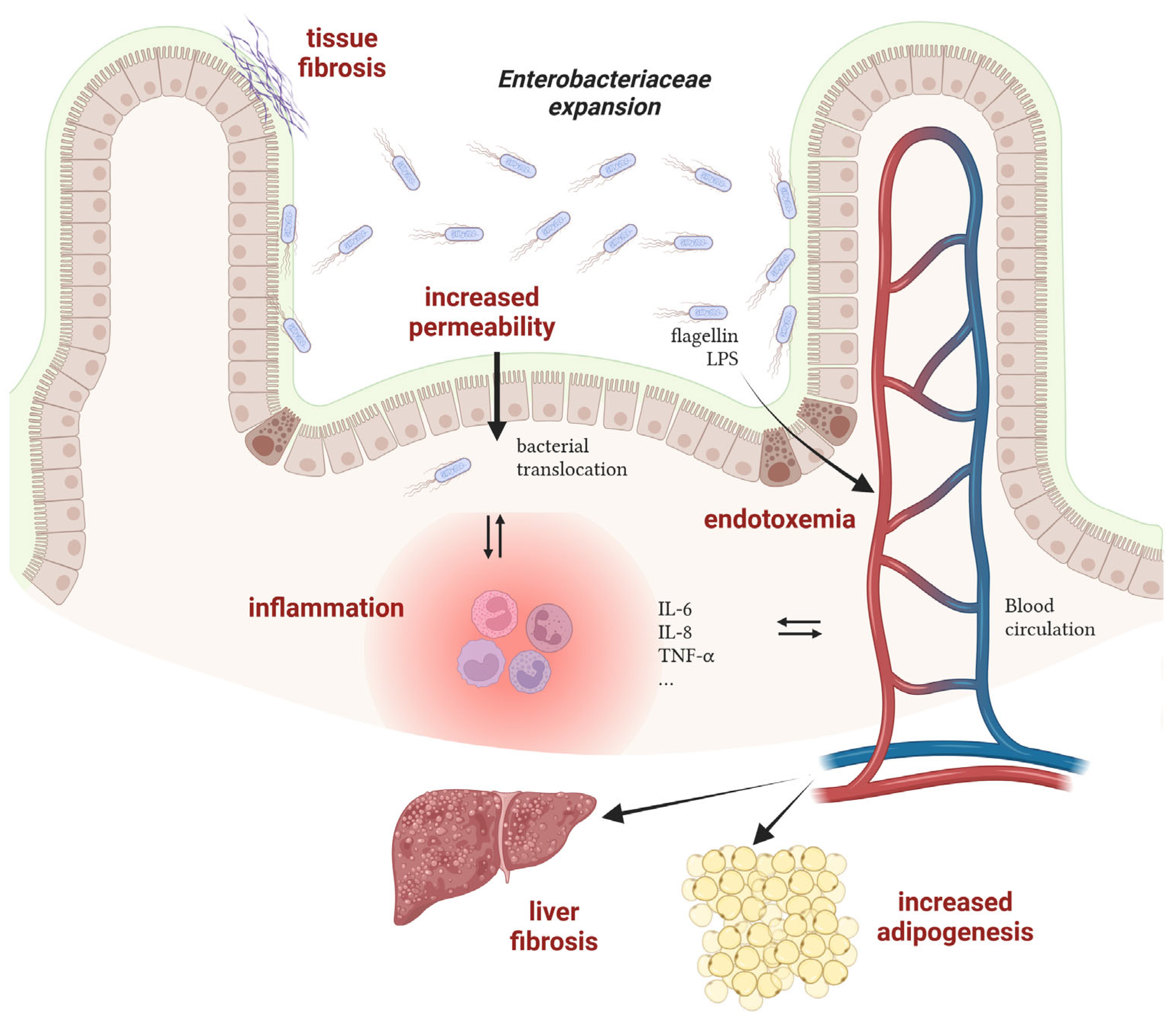 Biology 13 00142 g002