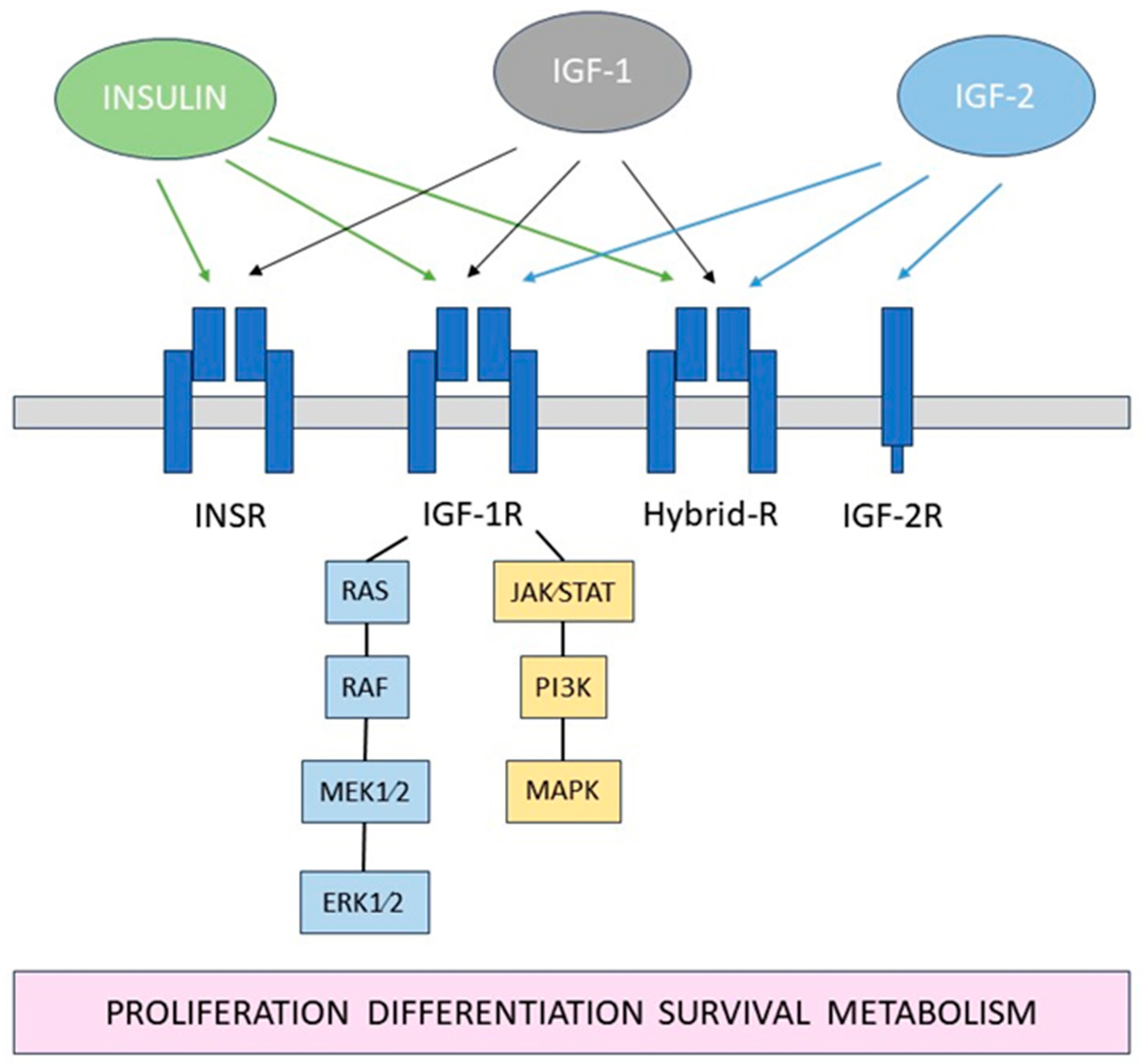 Biology 13 00144 g001