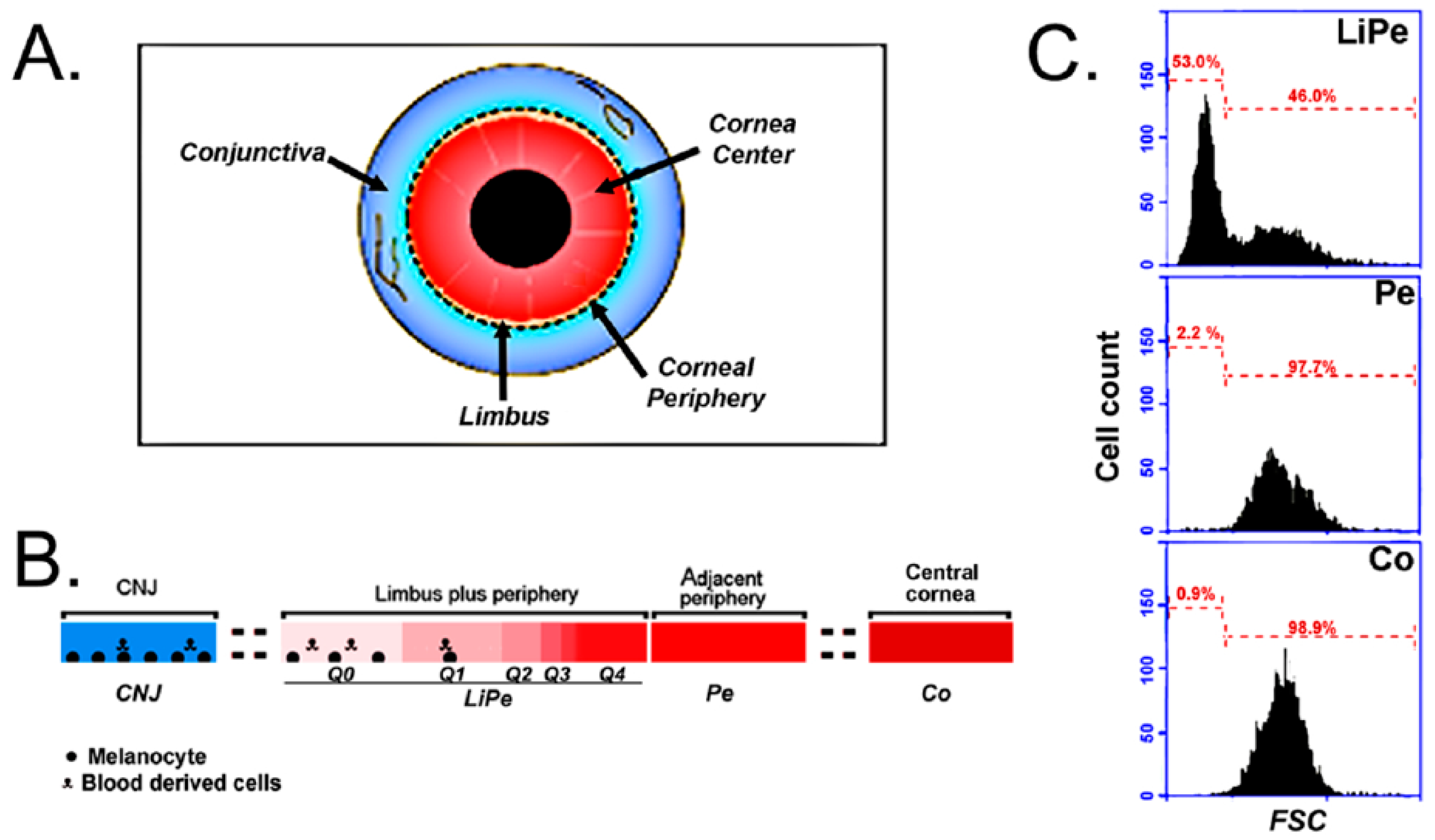 Biology 13 00145 g001 Biology 13 00145 g001