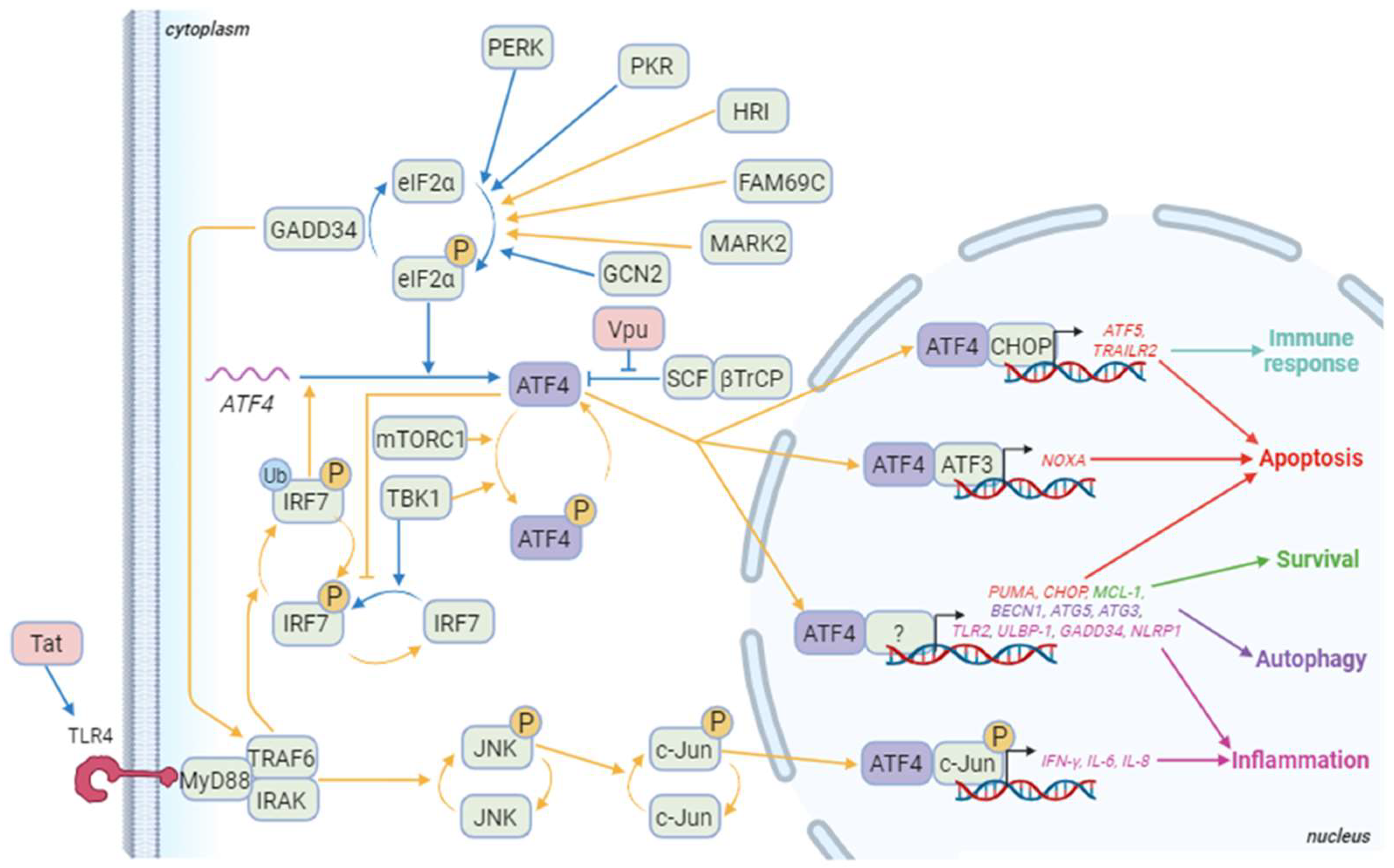 Biology 13 00146 g003