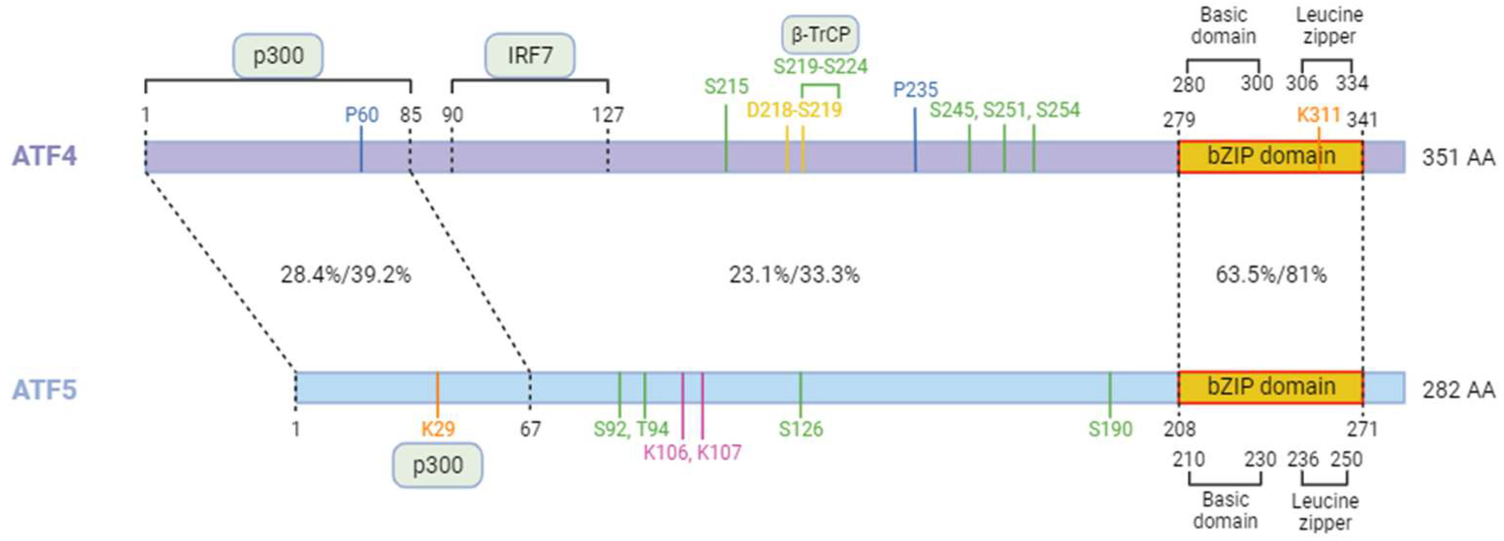 Biology 13 00146 g004