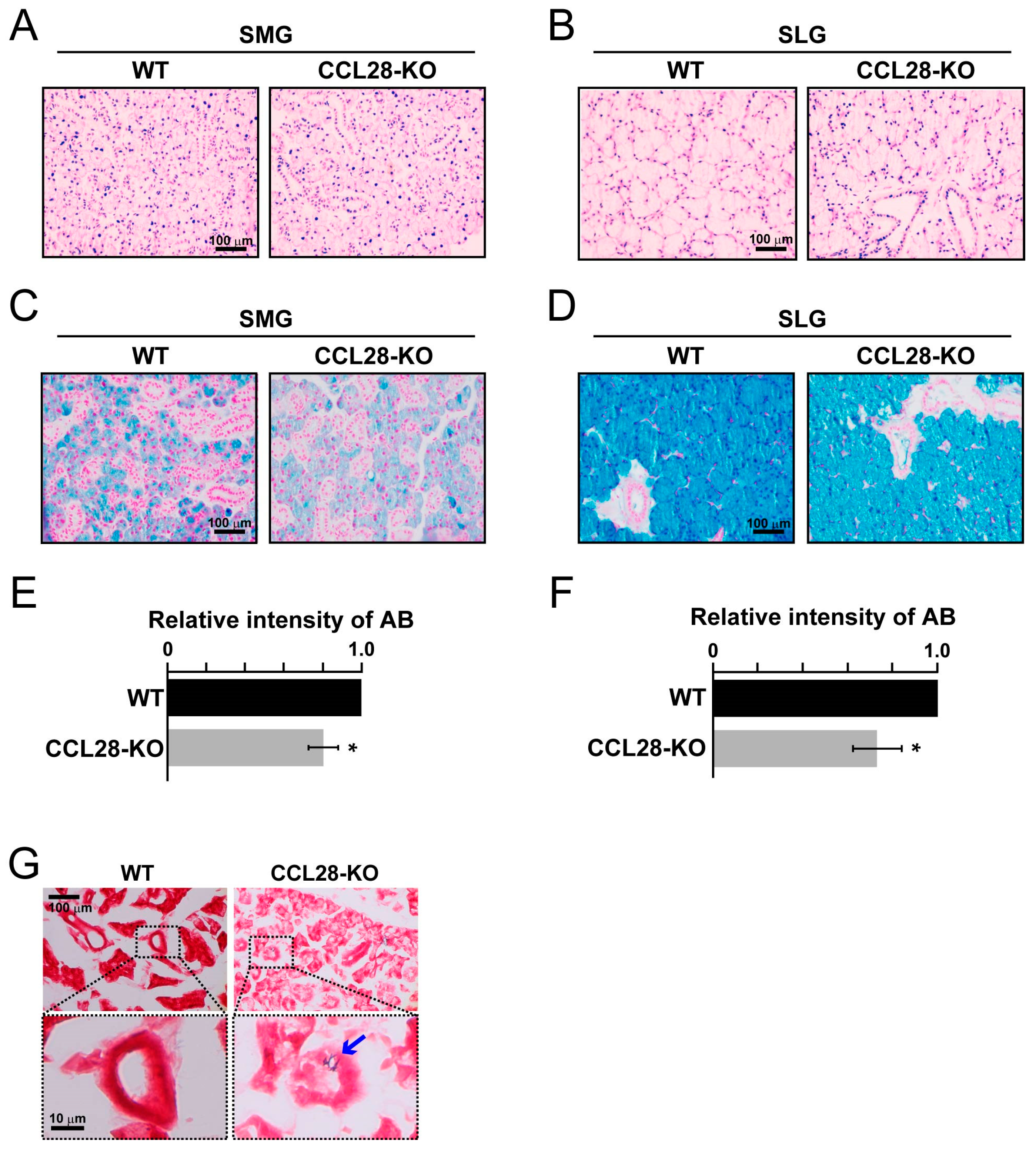 Biology 13 00147 g001