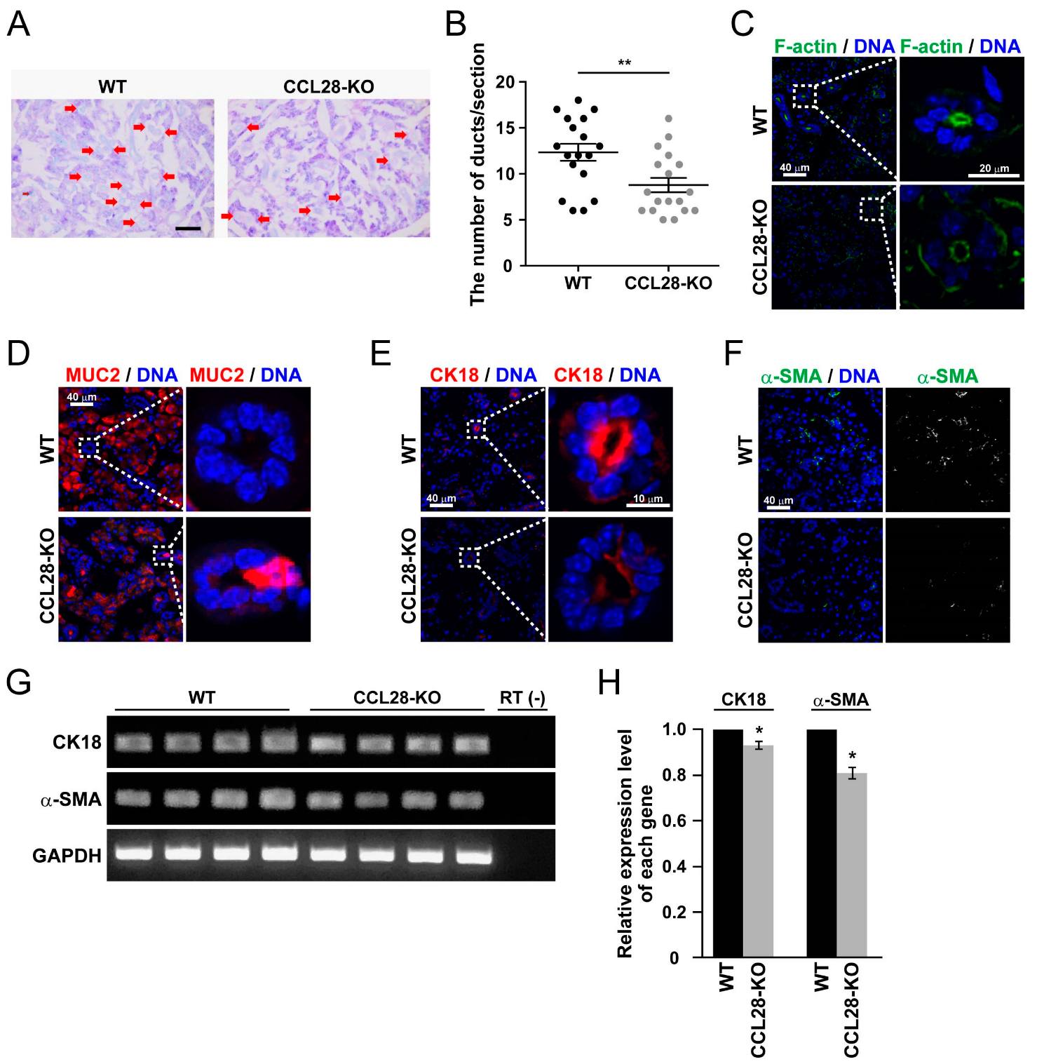 Biology 13 00147 g003