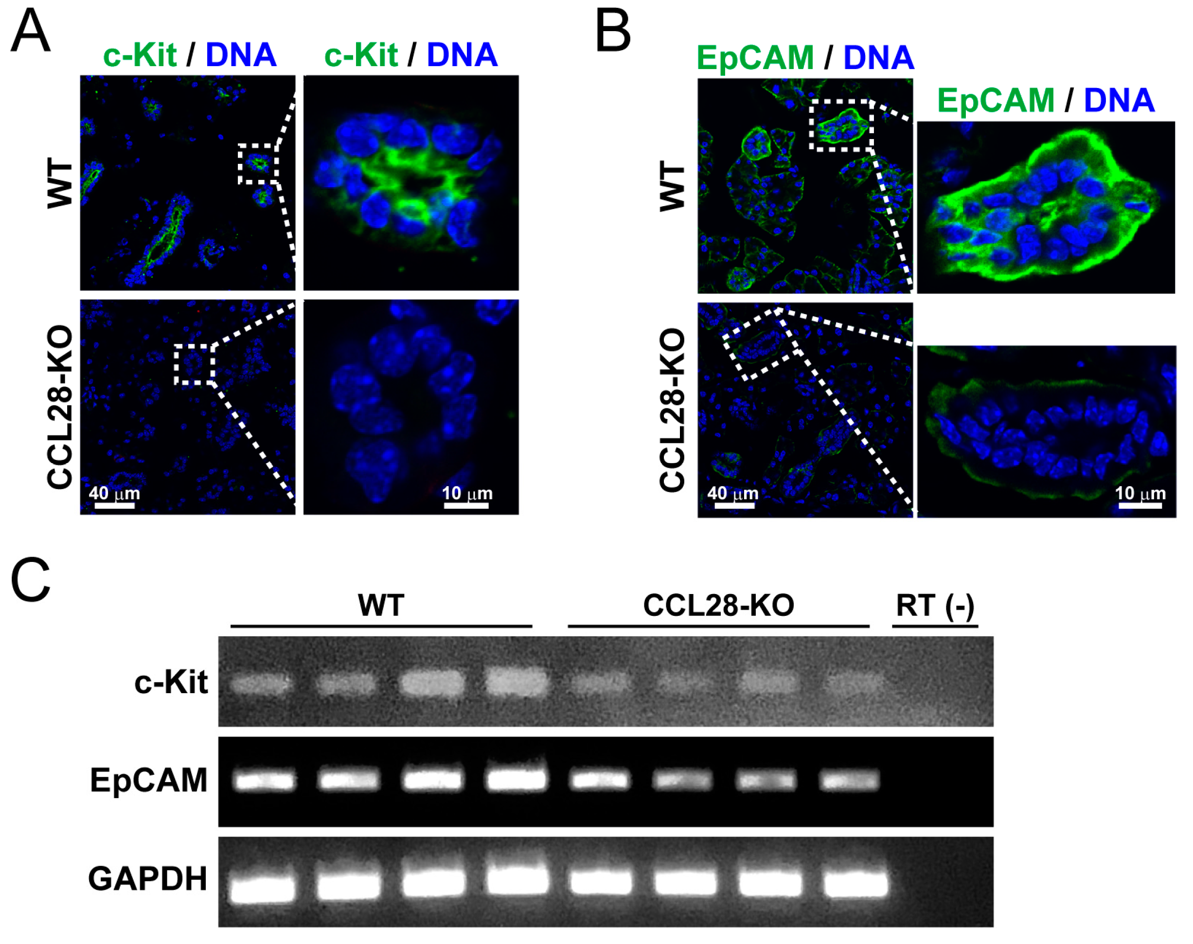 Biology 13 00147 g004