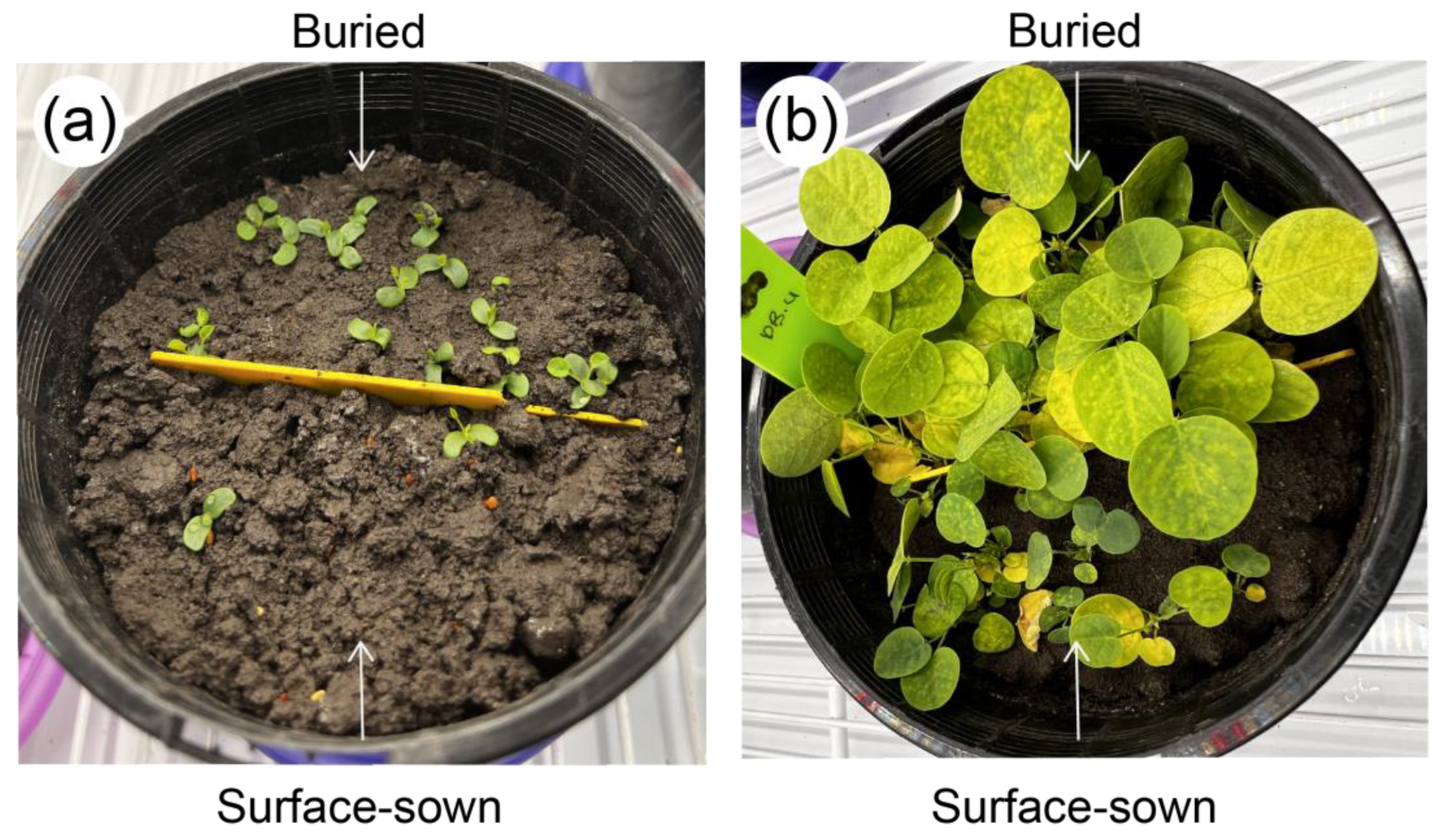 Biology 13 00148 g004
