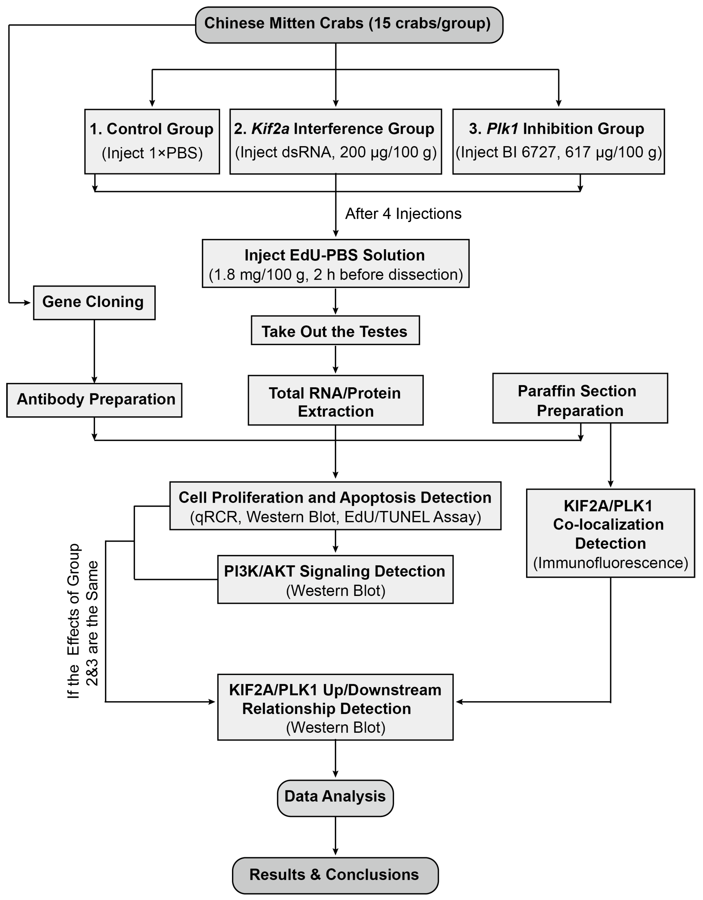 Biology 13 00149 g001