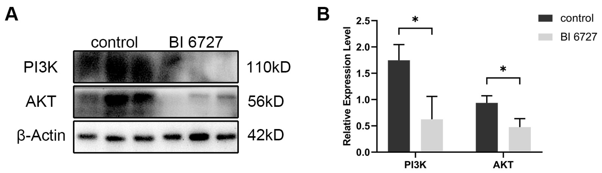 Biology 13 00149 g007