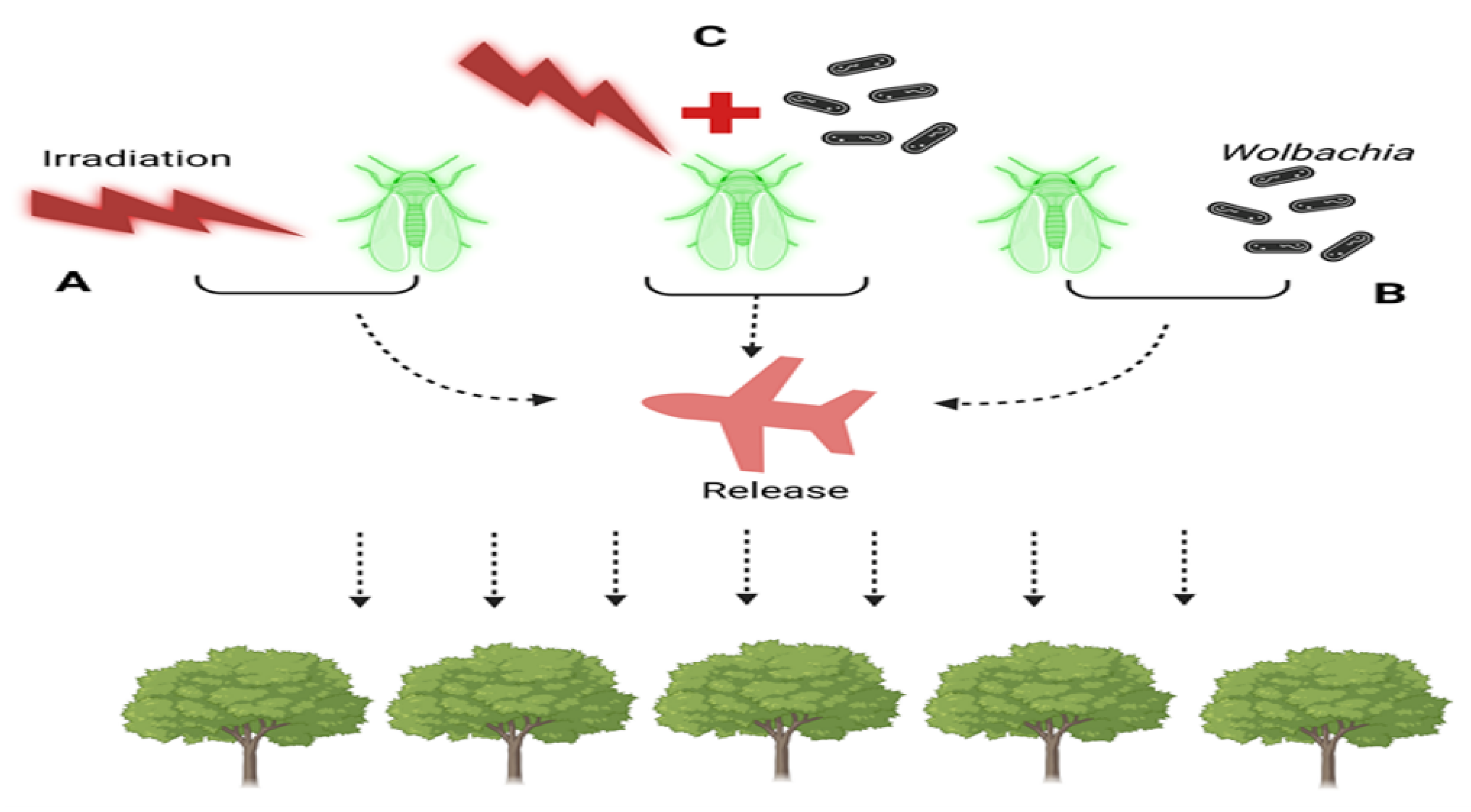 Biology 13 00151 g002