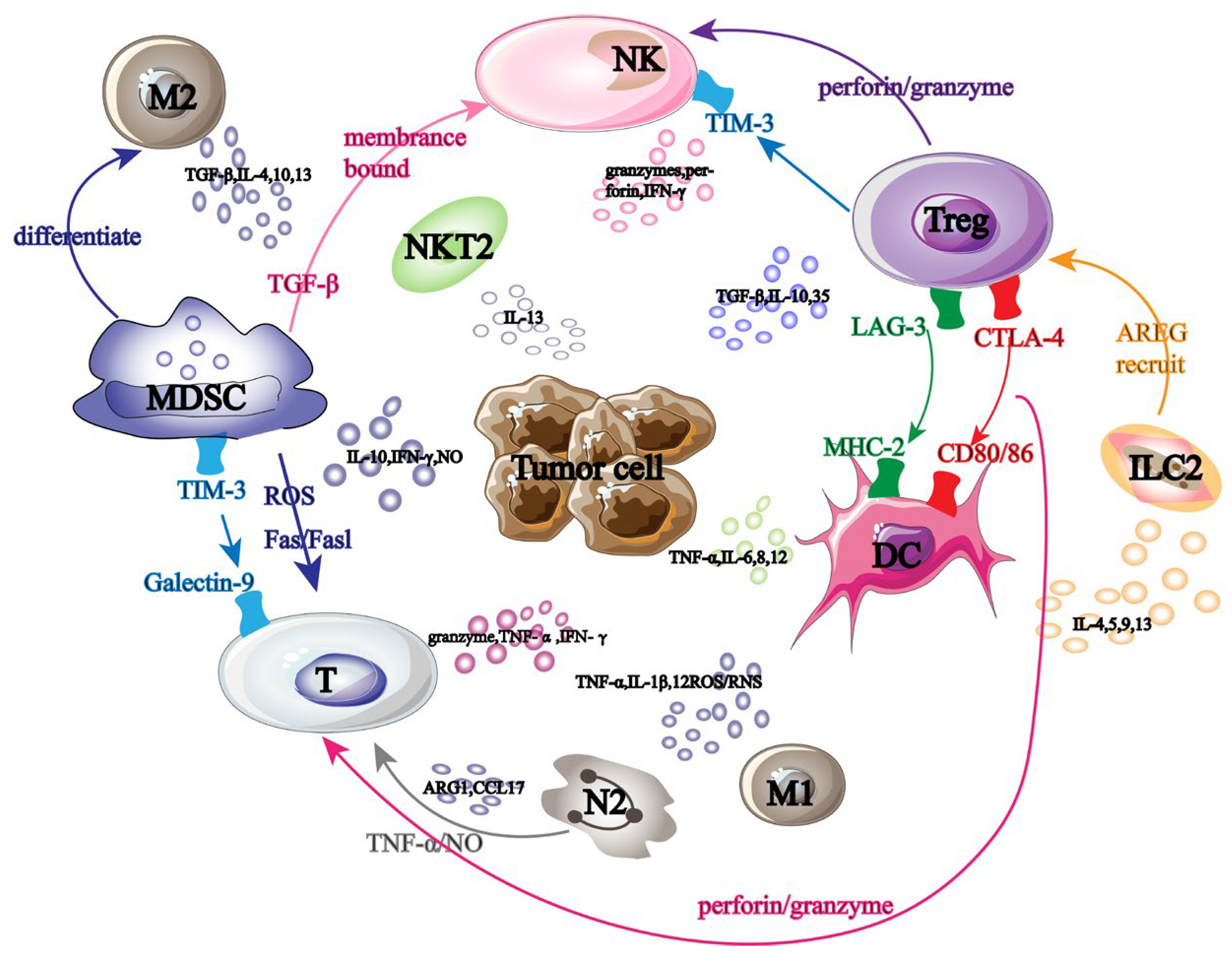 Biology 13 00153 g001