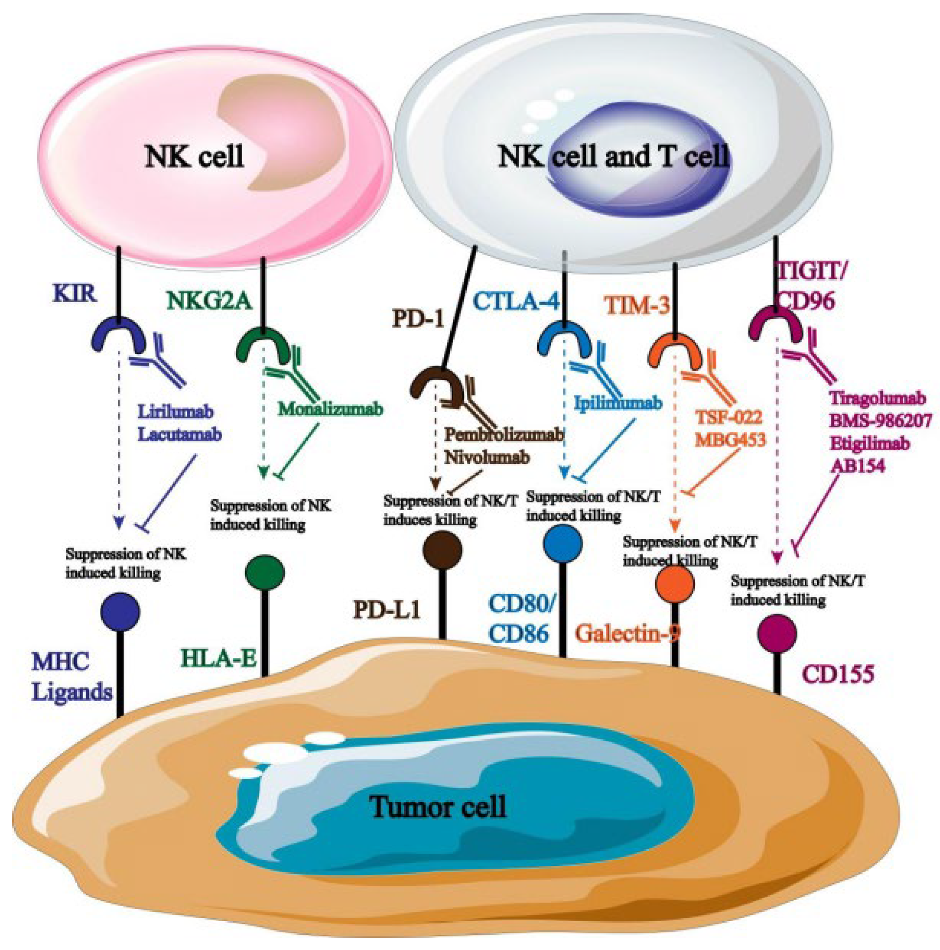 Biology 13 00153 g006