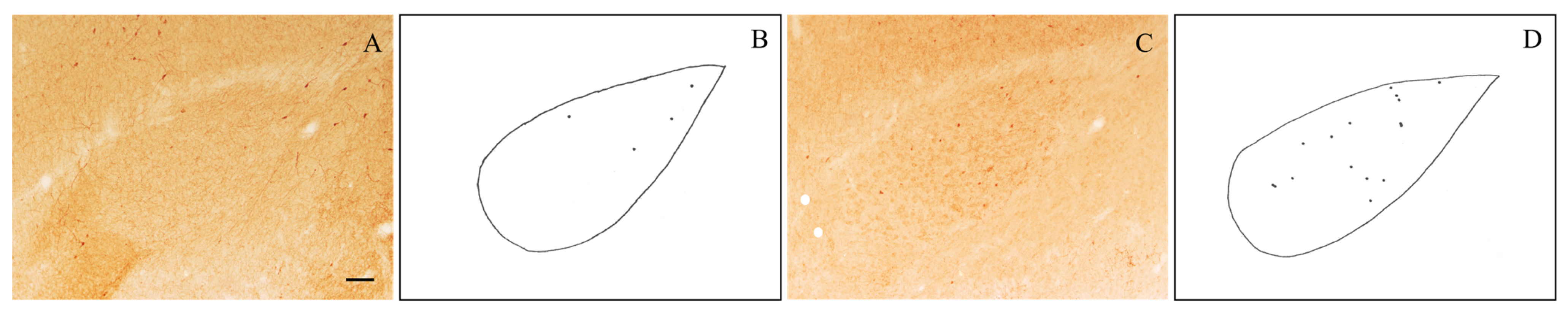 Biology 13 00155 g002