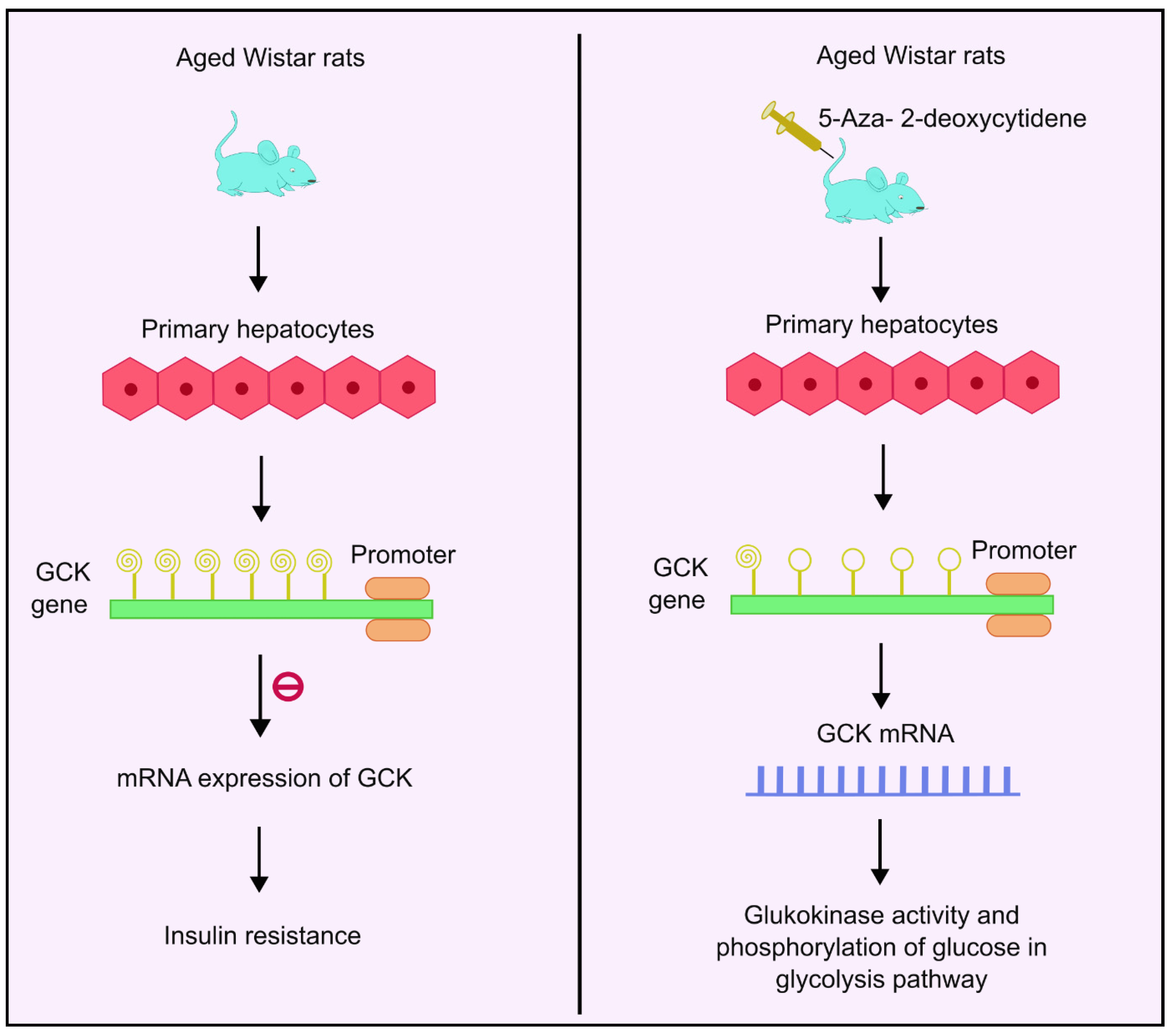 Biology 13 00157 g003