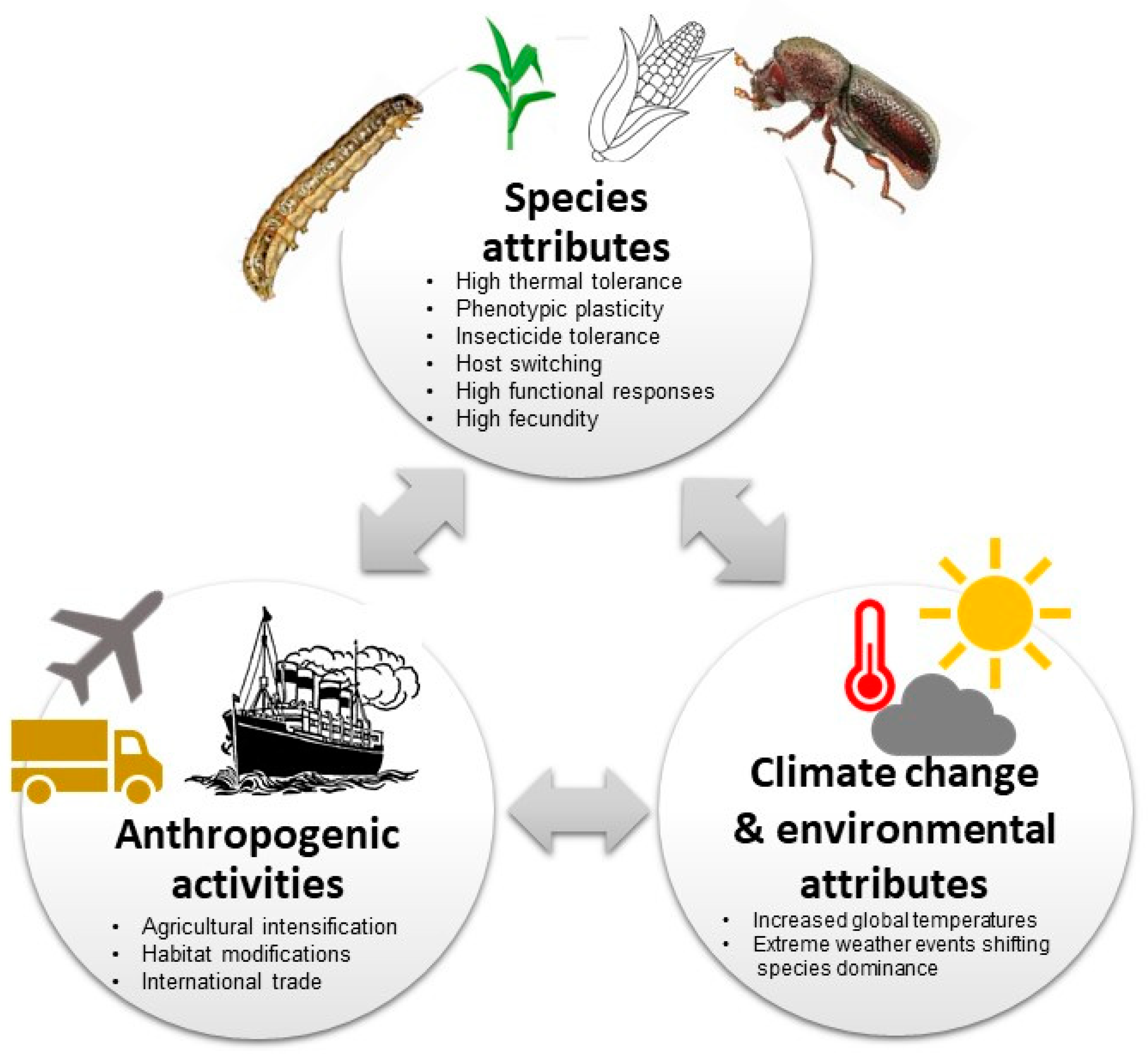 Biology 13 00160 g003