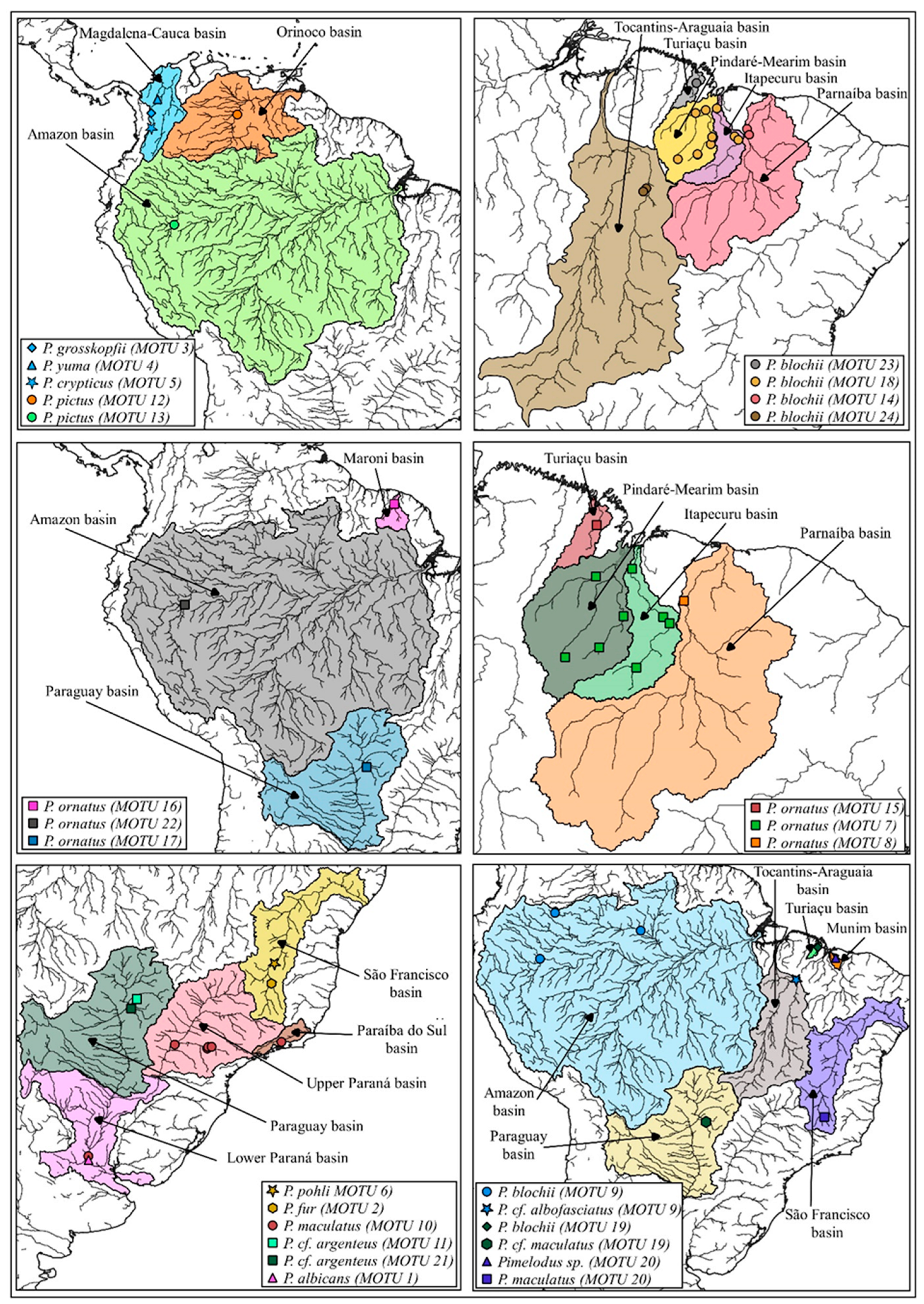 Biology 13 00162 g001