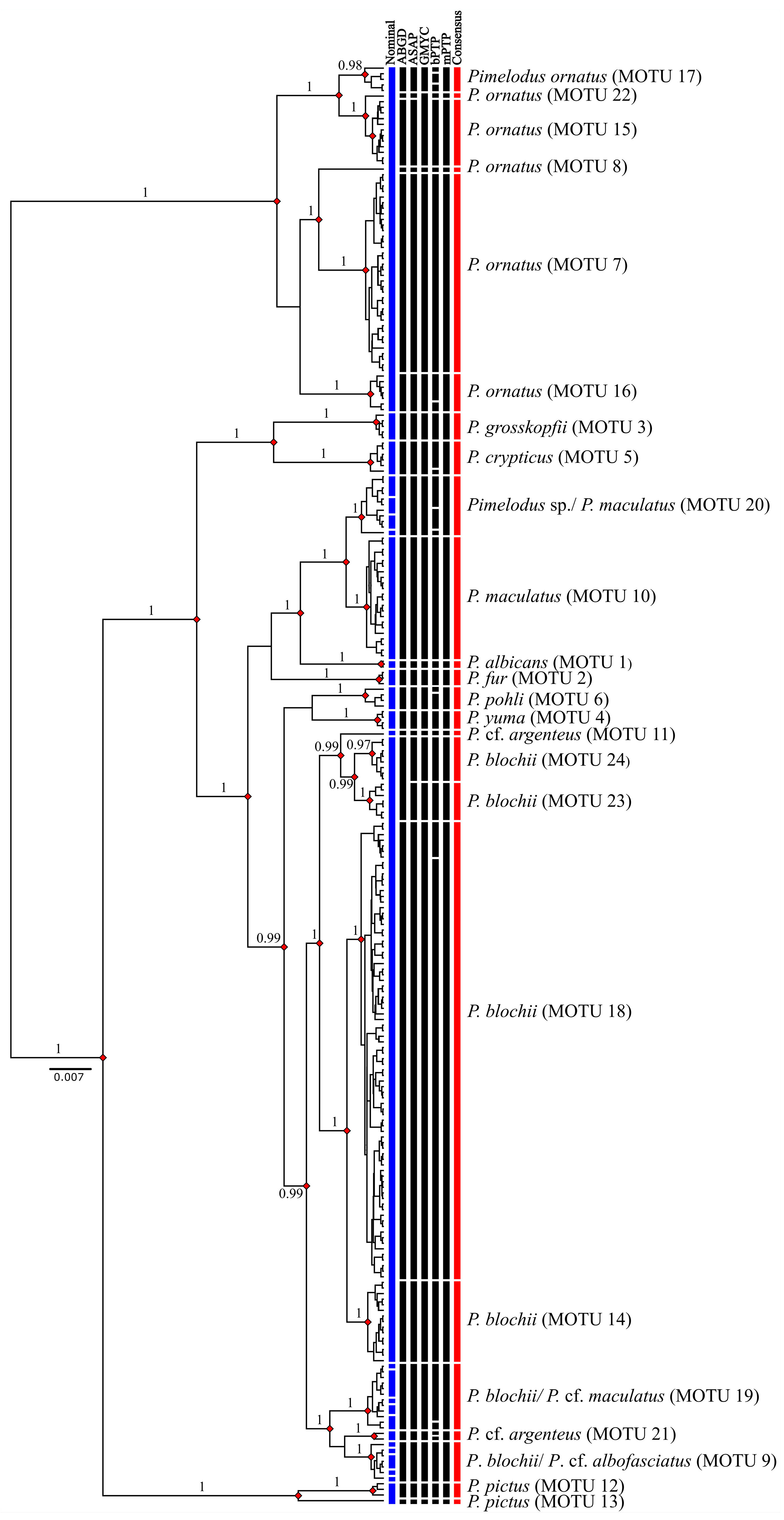 Biology 13 00162 g005