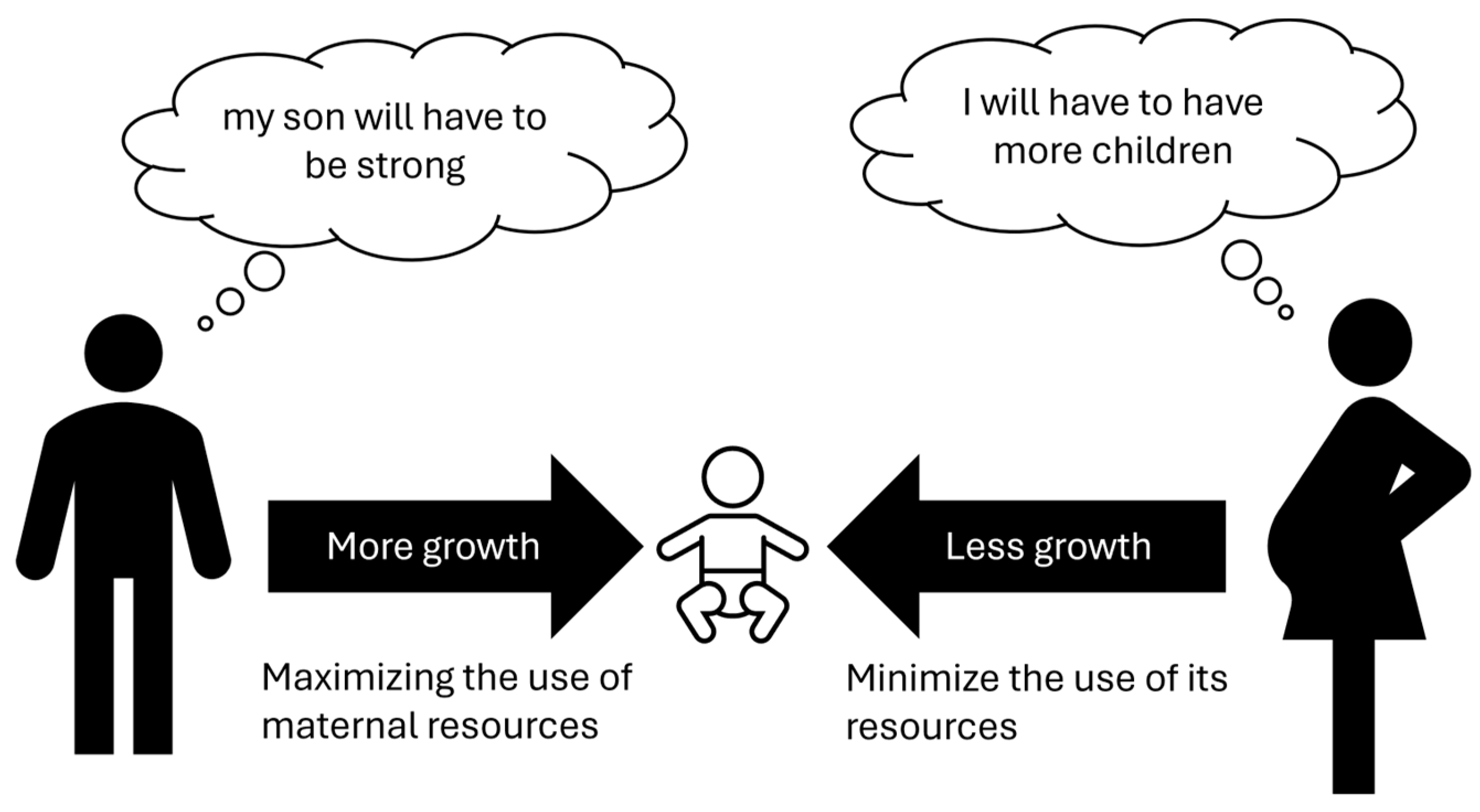 Biology 13 00165 g001 Biology 13 00165 g001