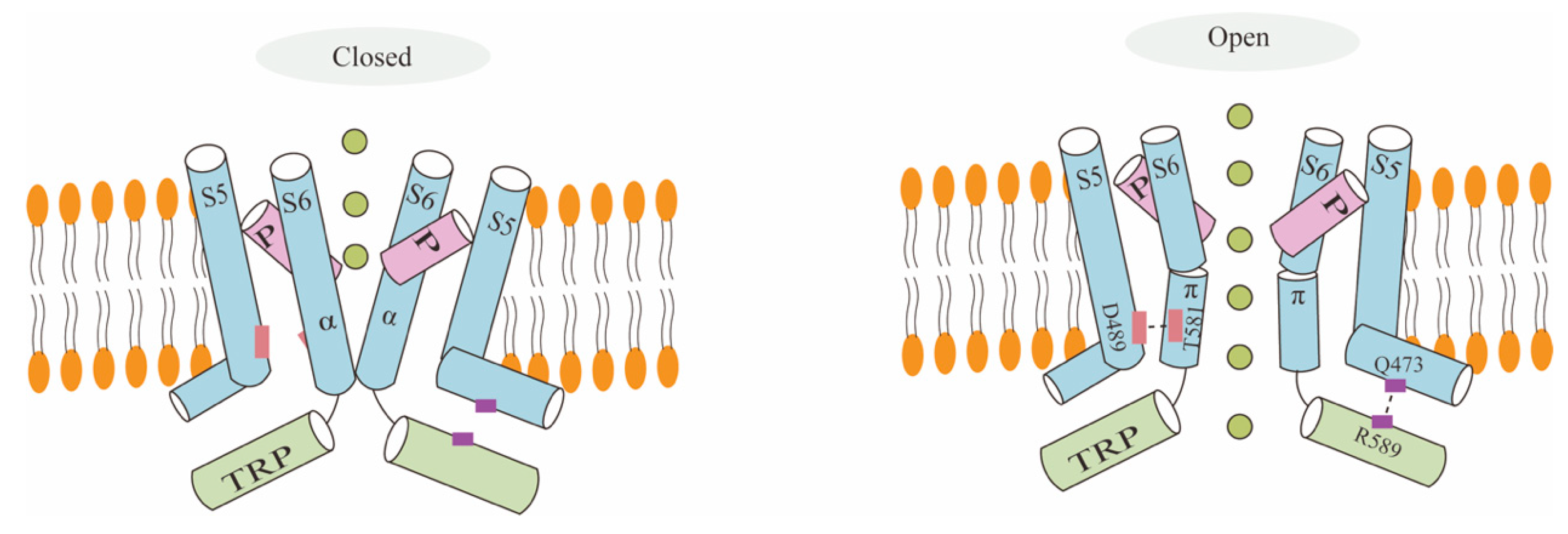 Biology 13 00168 g002