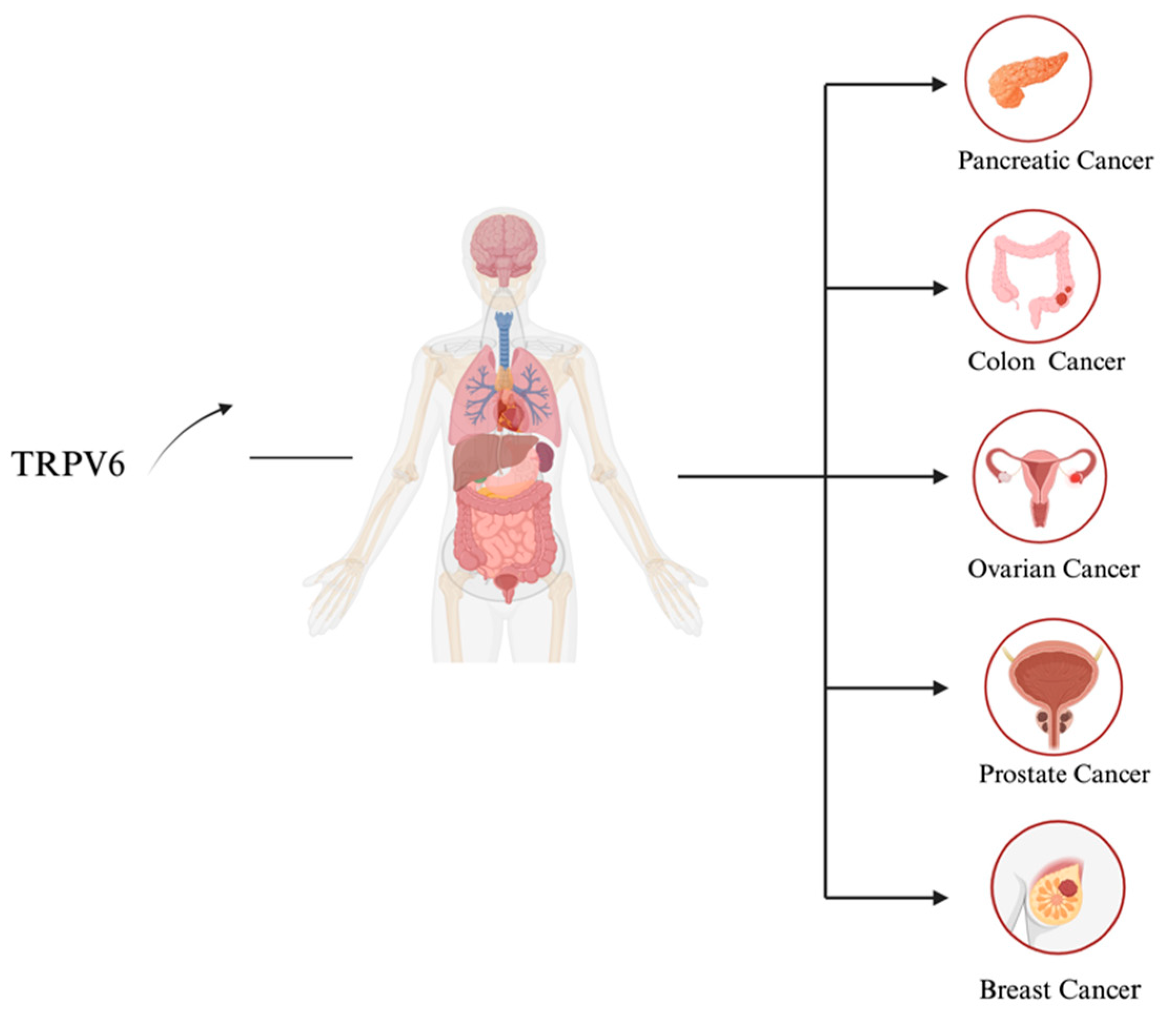 Biology 13 00168 g004