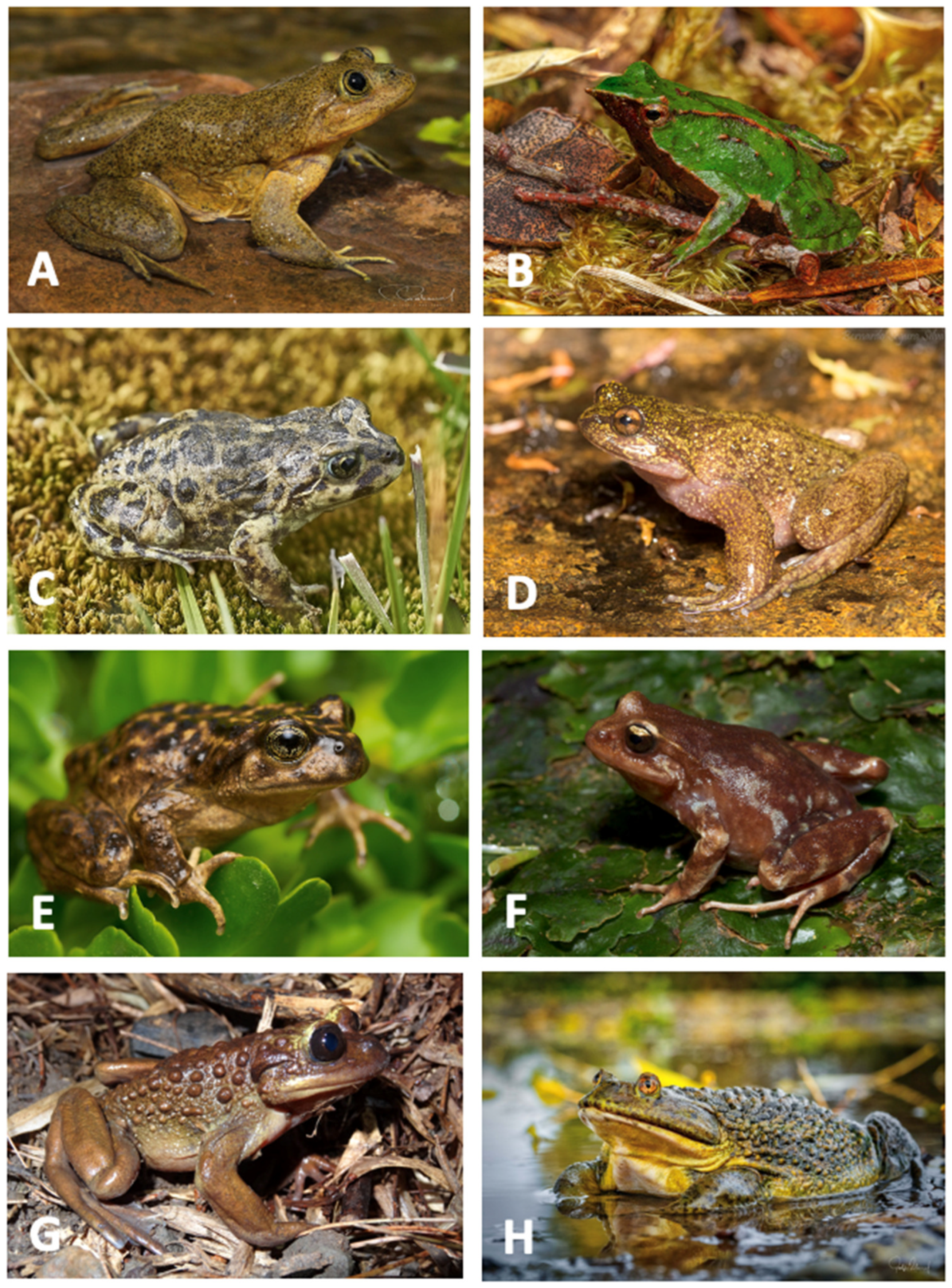 Biology 13 00169 g004