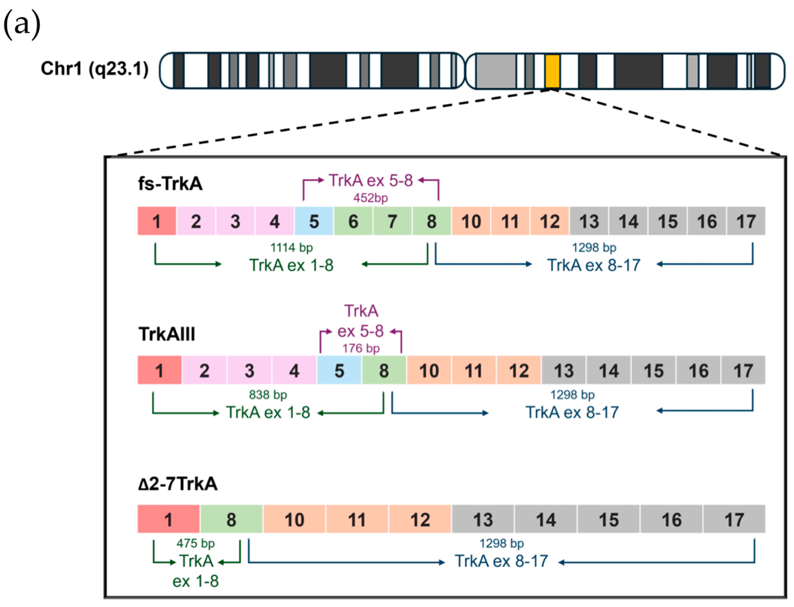 Biology 13 00171 g001a