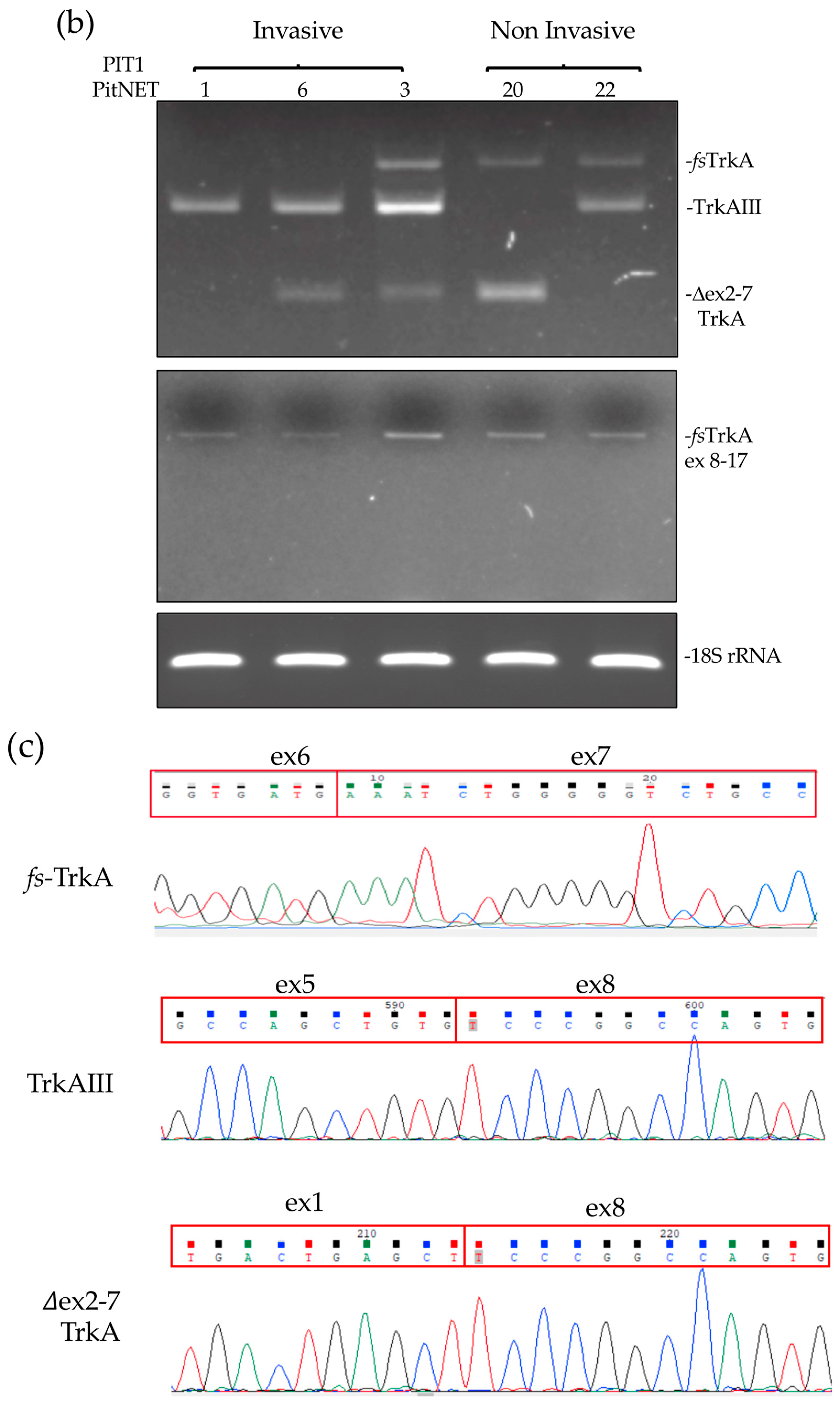 Biology 13 00171 g001b