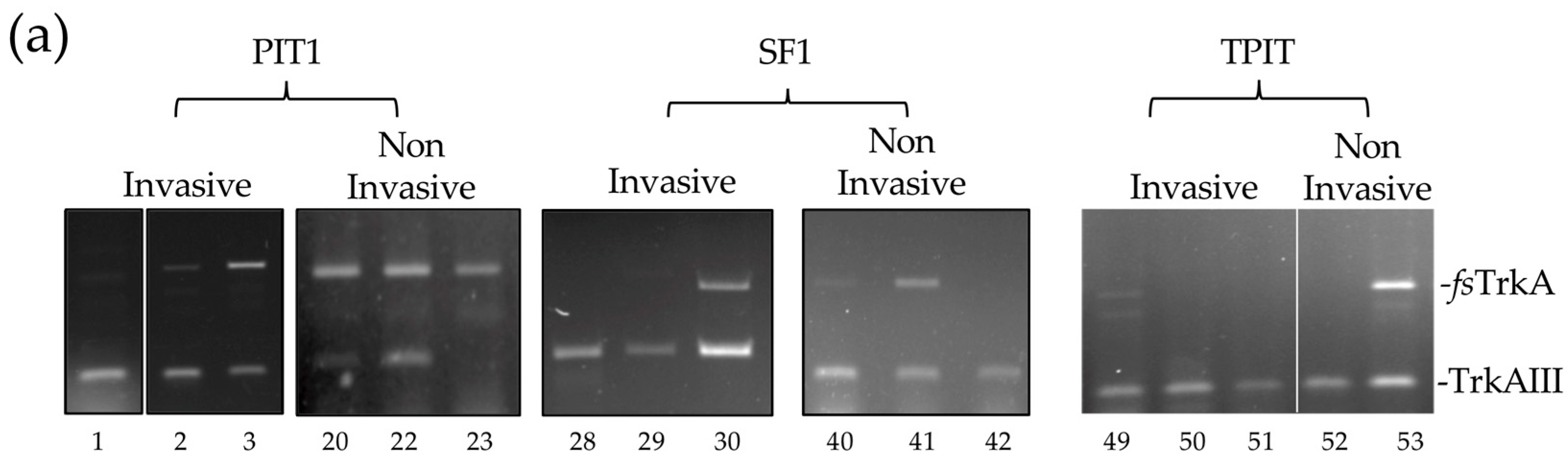 Biology 13 00171 g002a