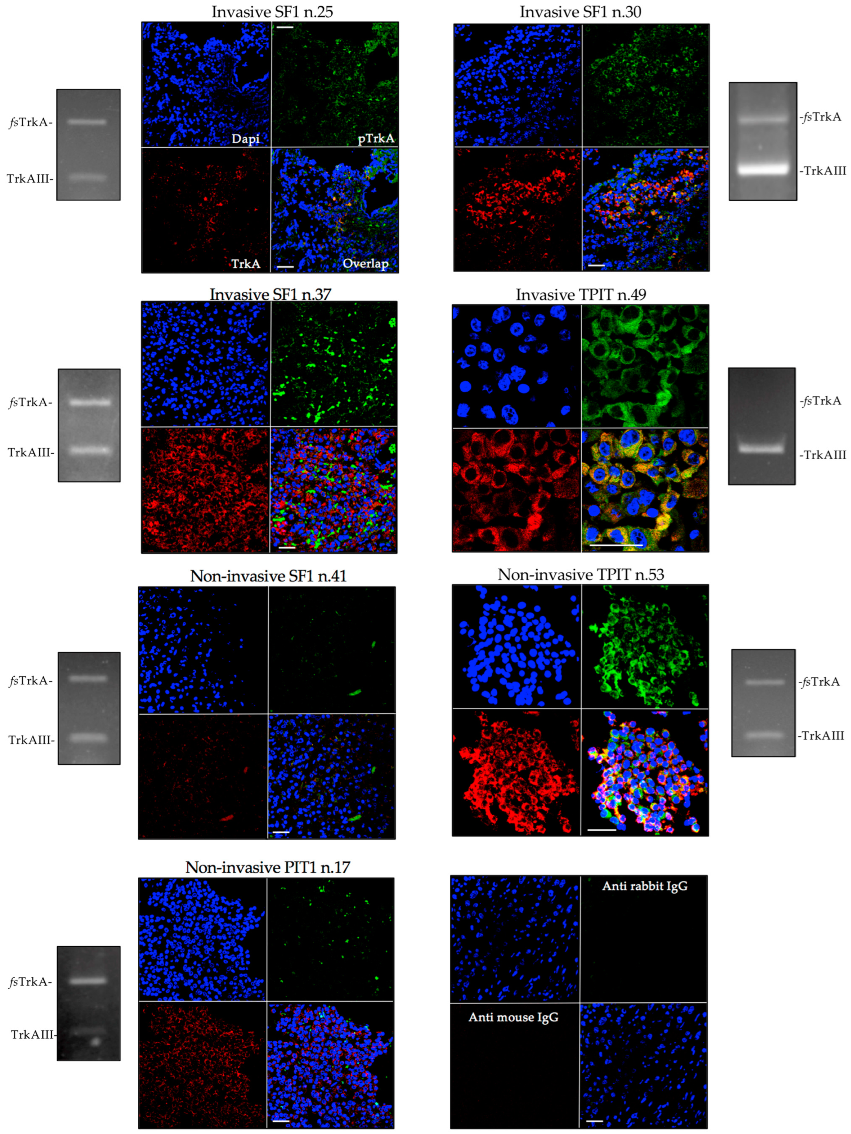 Biology 13 00171 g003