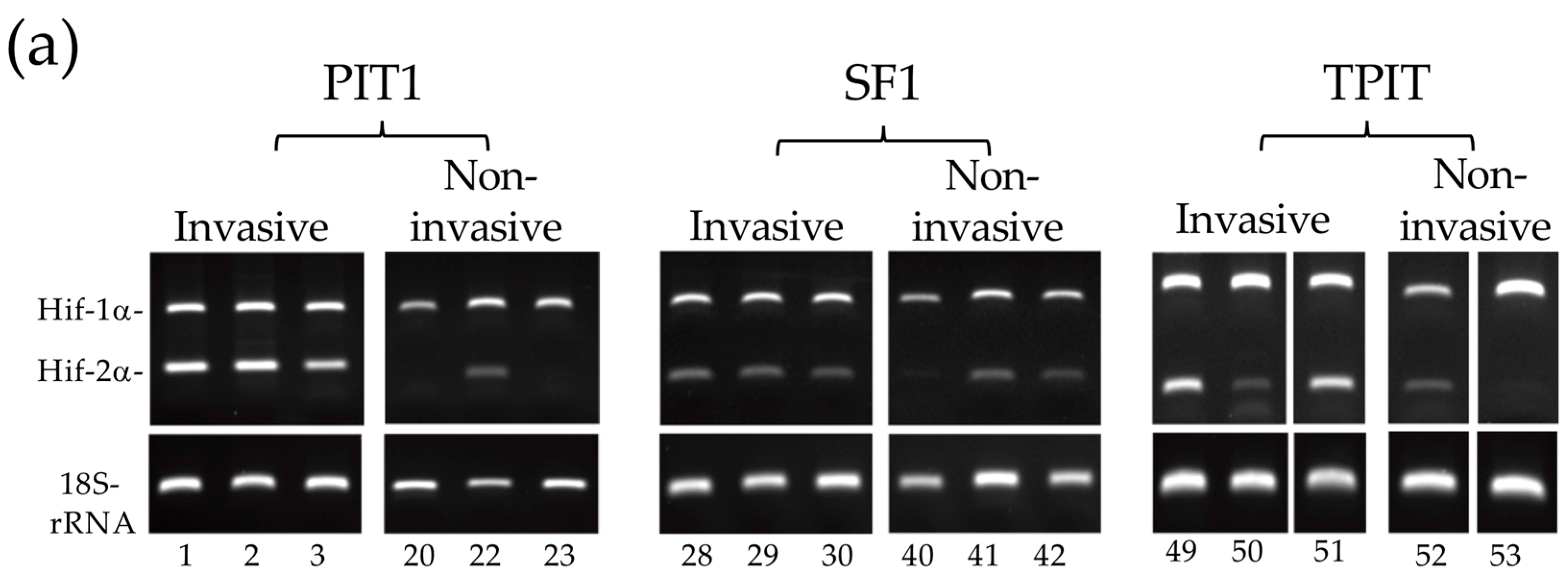 Biology 13 00171 g004a