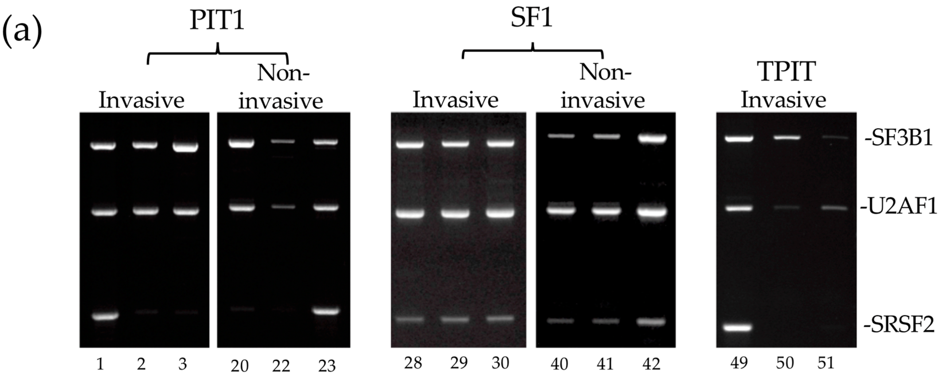Biology 13 00171 g006a