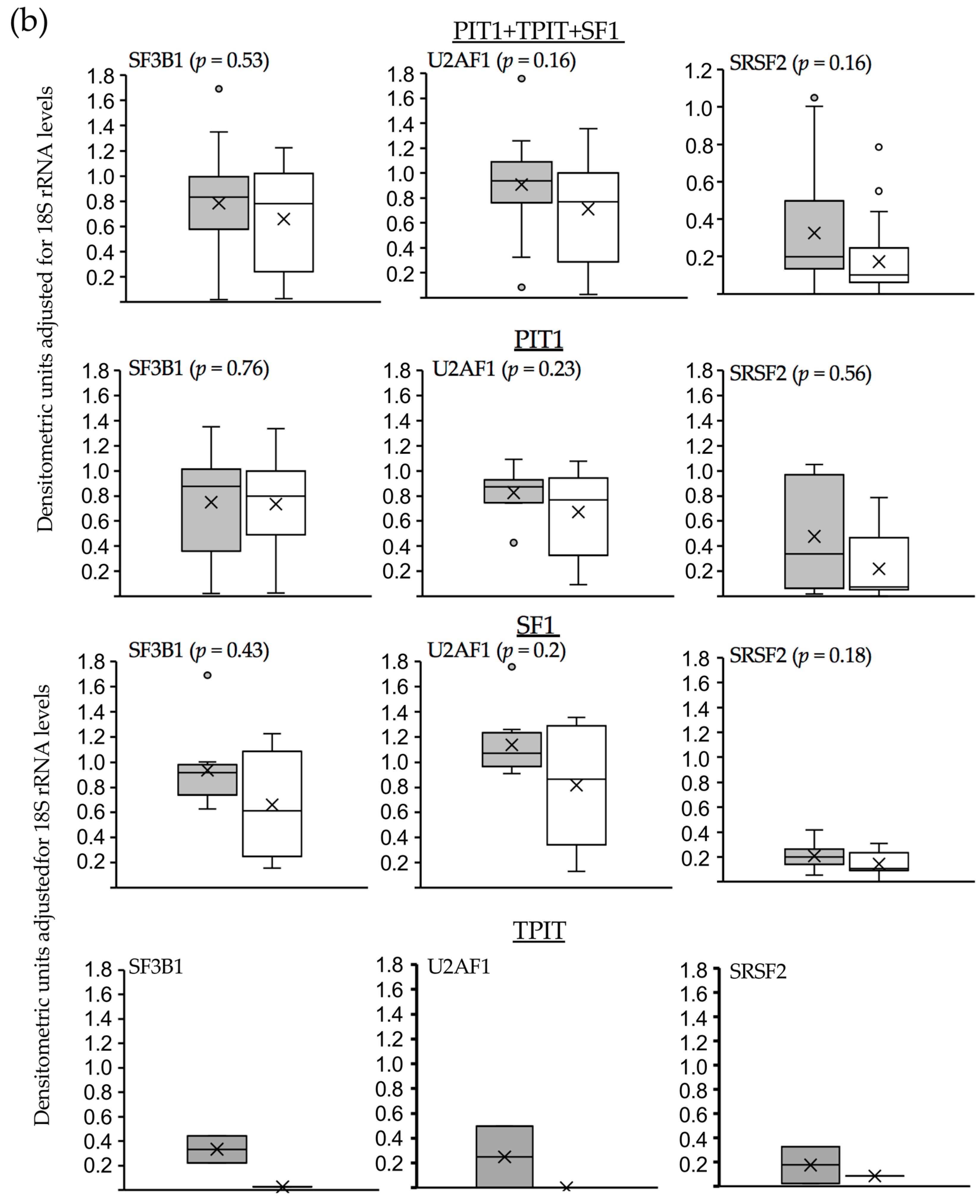 Biology 13 00171 g006b