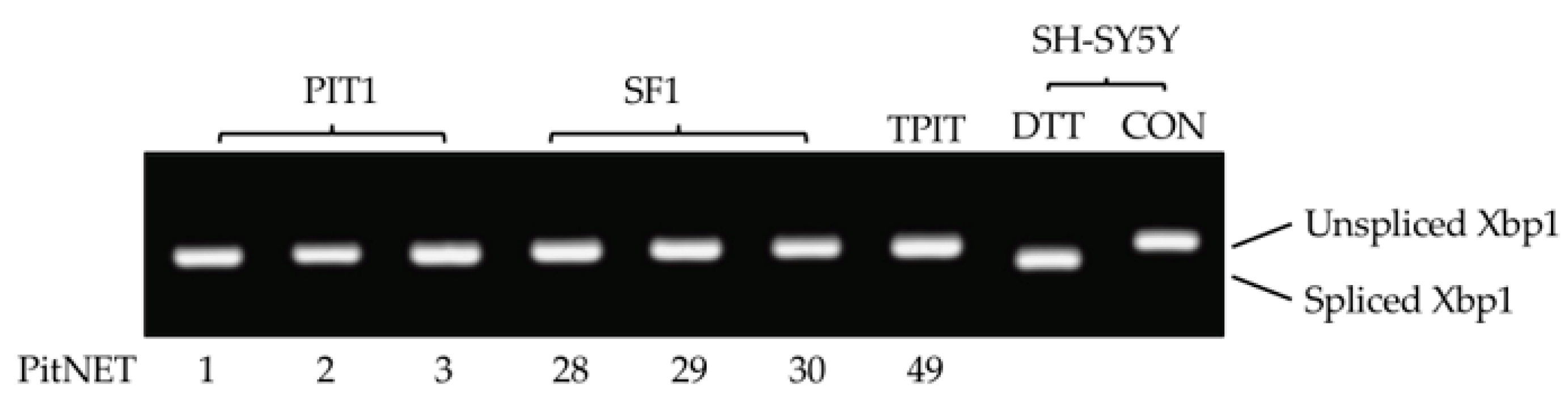 Biology 13 00171 g007