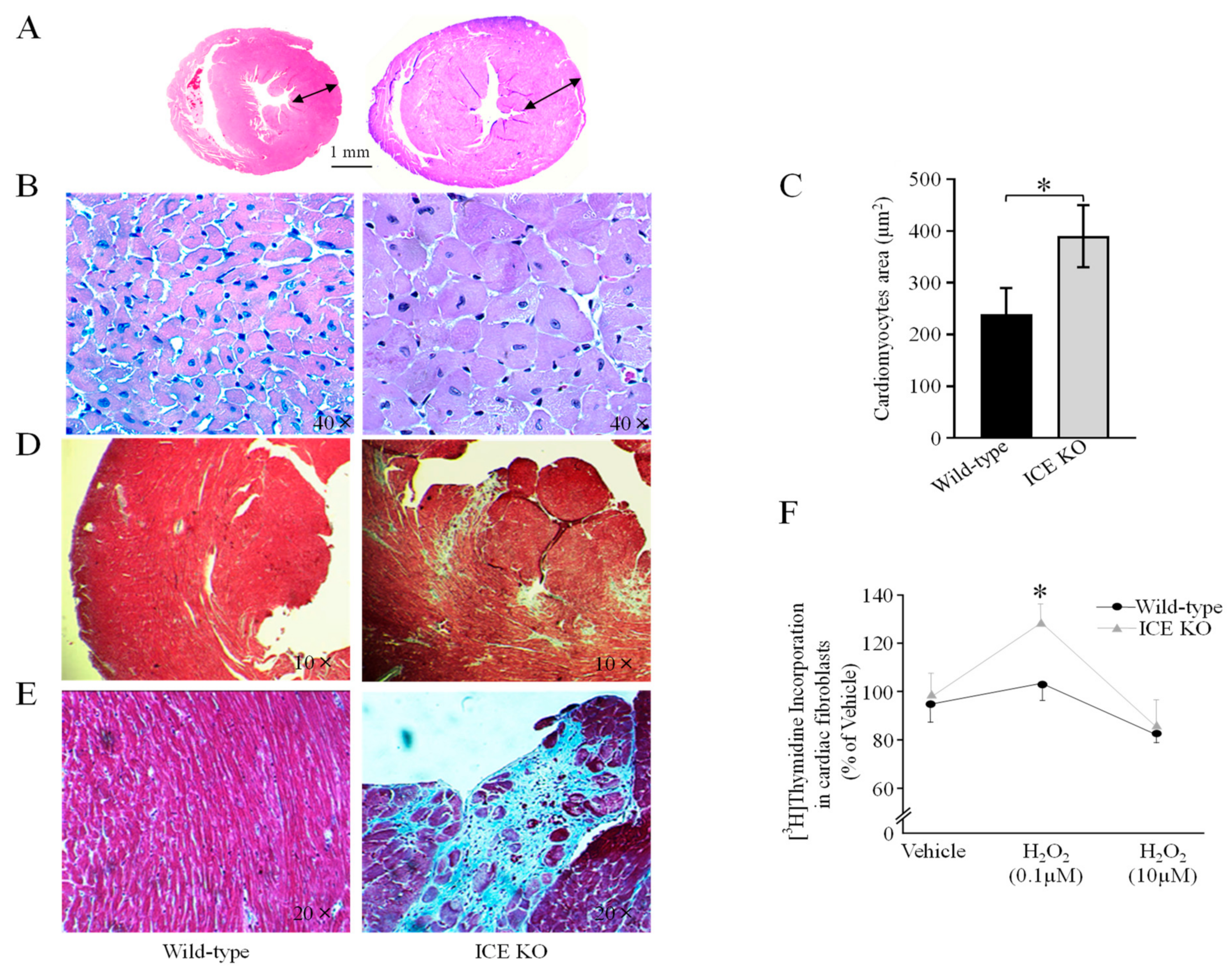Biology 13 00172 g002