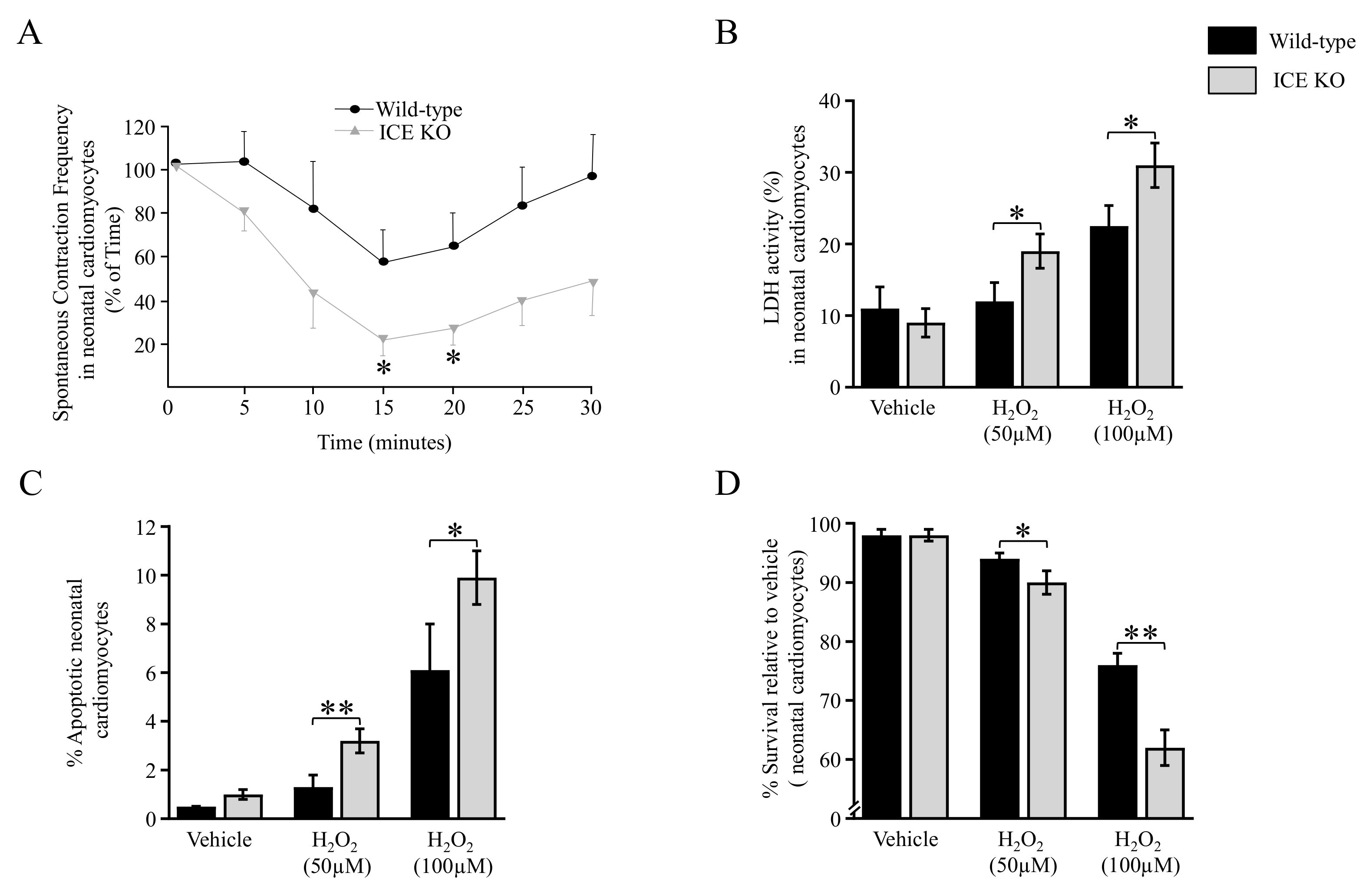 Biology 13 00172 g005