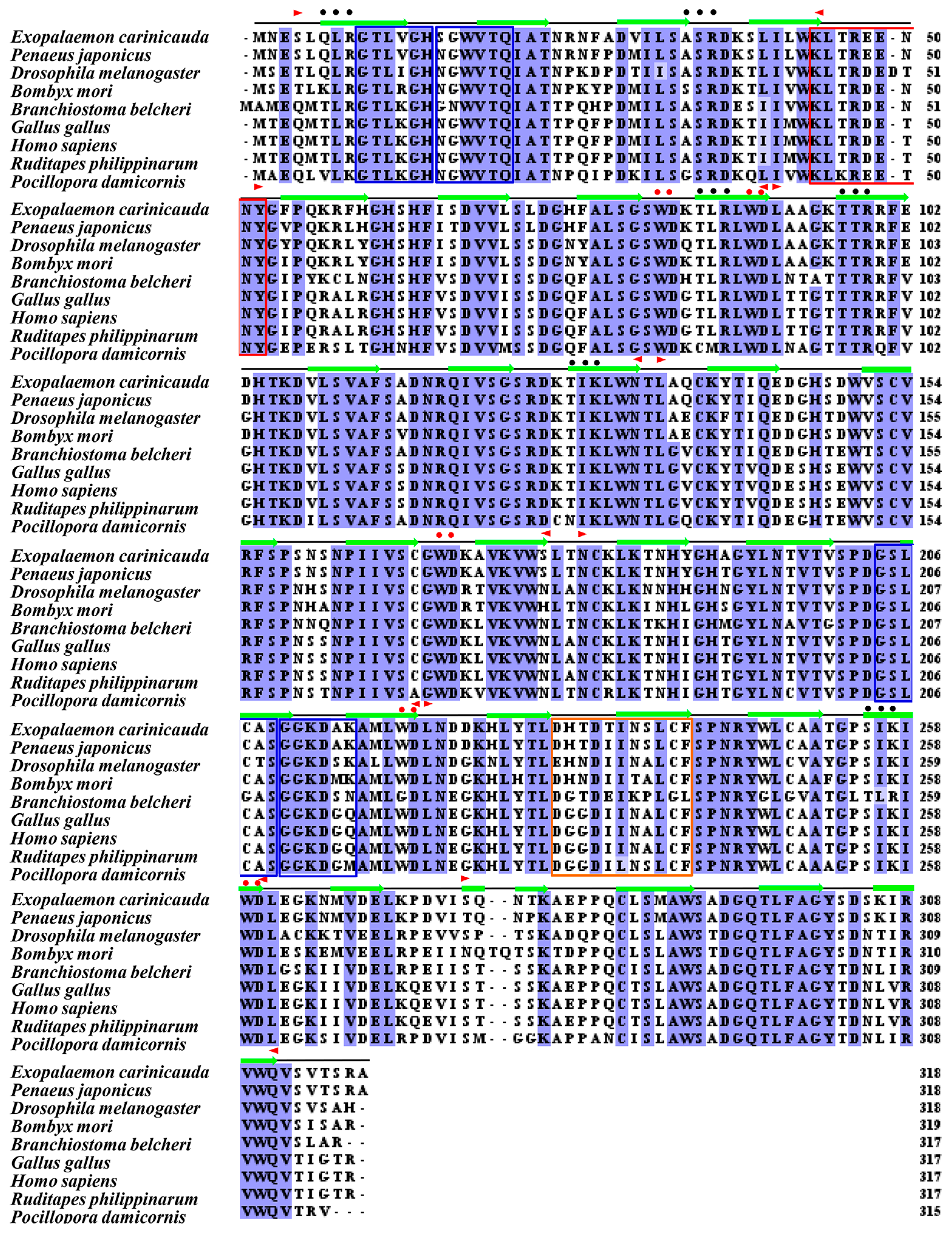 Biology 13 00174 g002 Biology 13 00174 g002