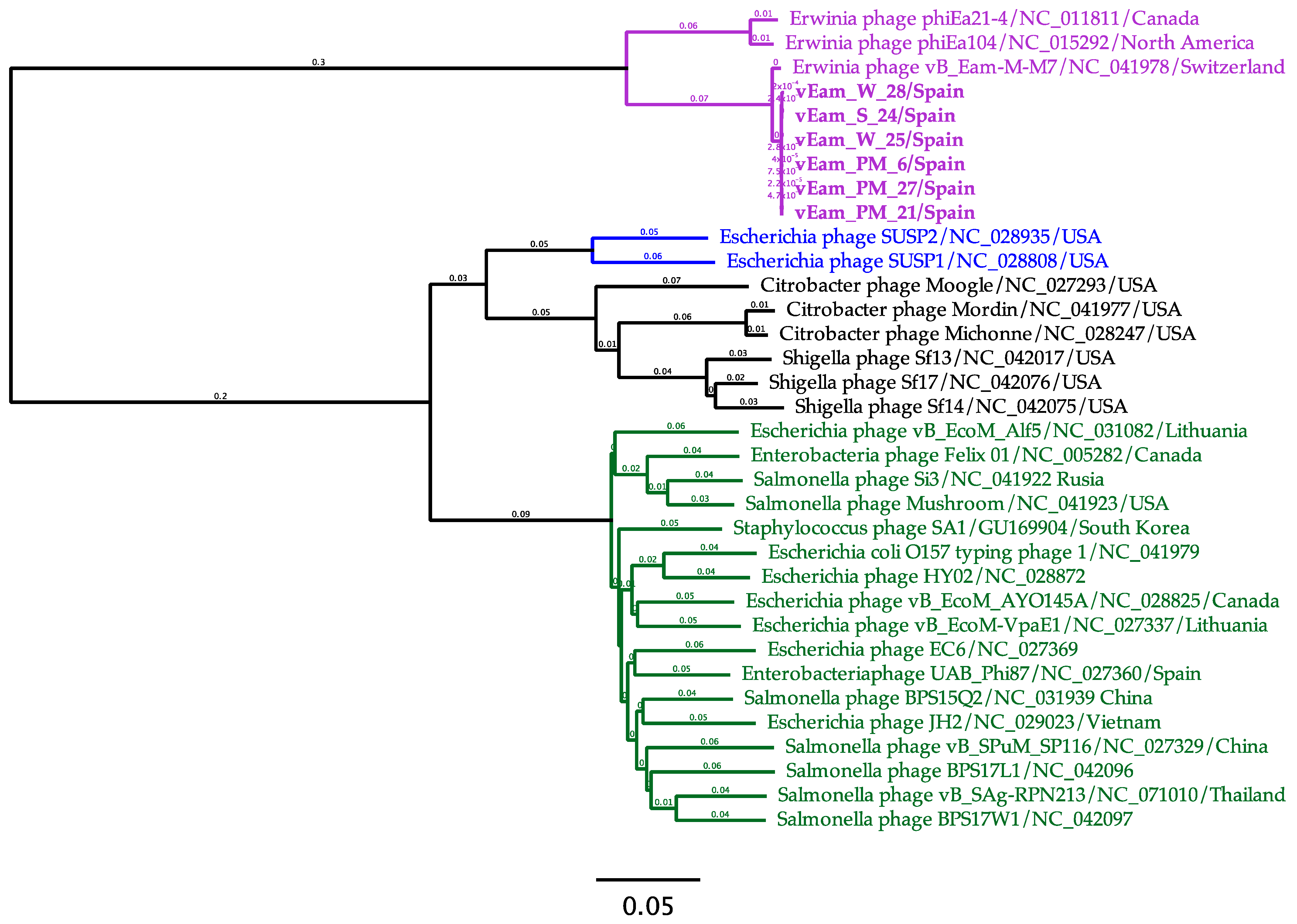 Biology 13 00176 g007 Biology 13 00176 g007